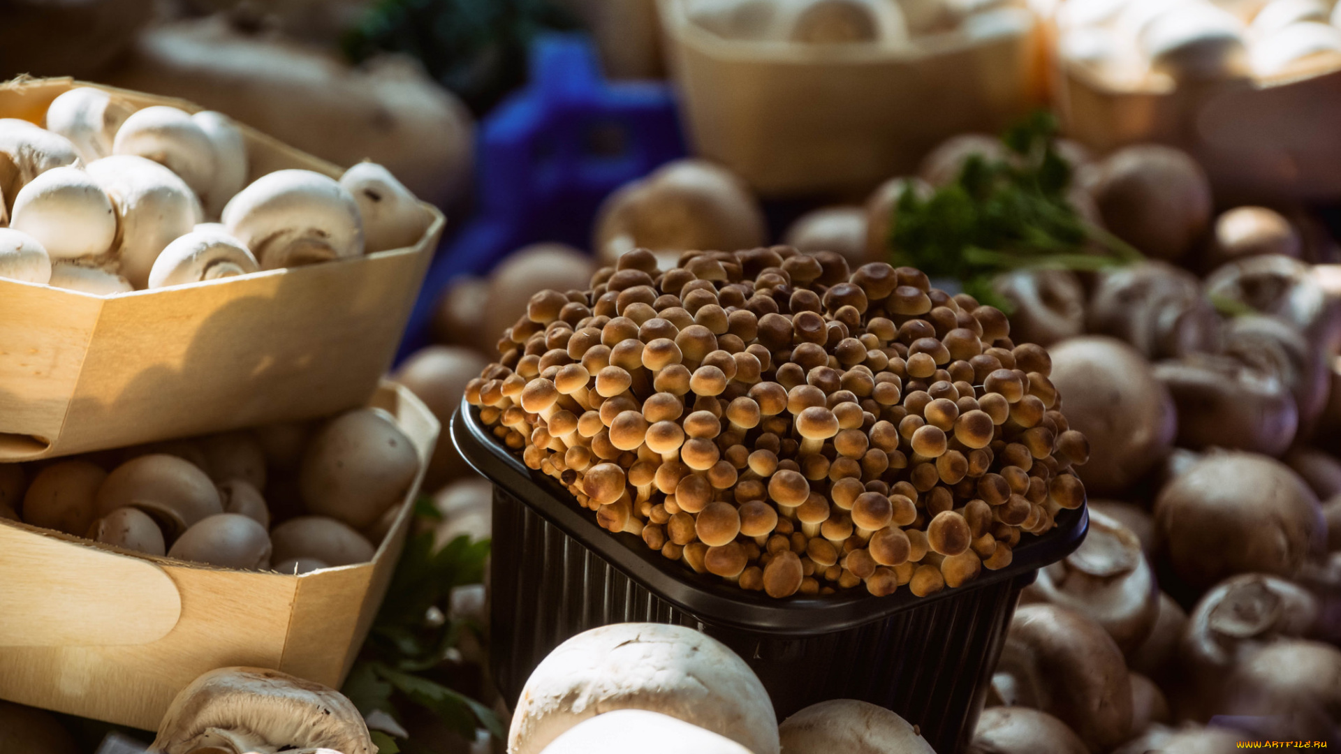 еда, грибы, , грибные, блюда, ланч