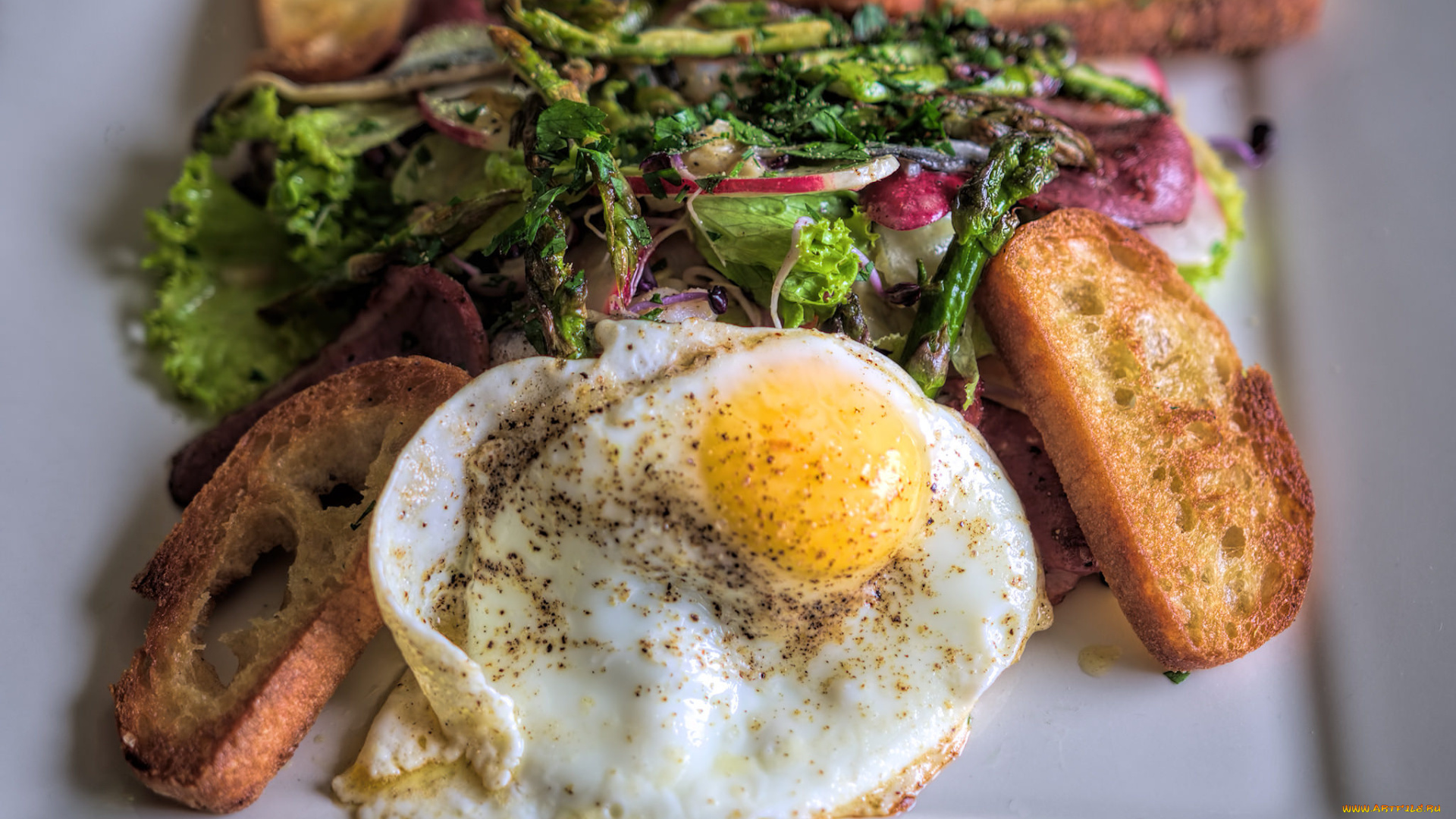 еда, Яичные, блюда, ланч