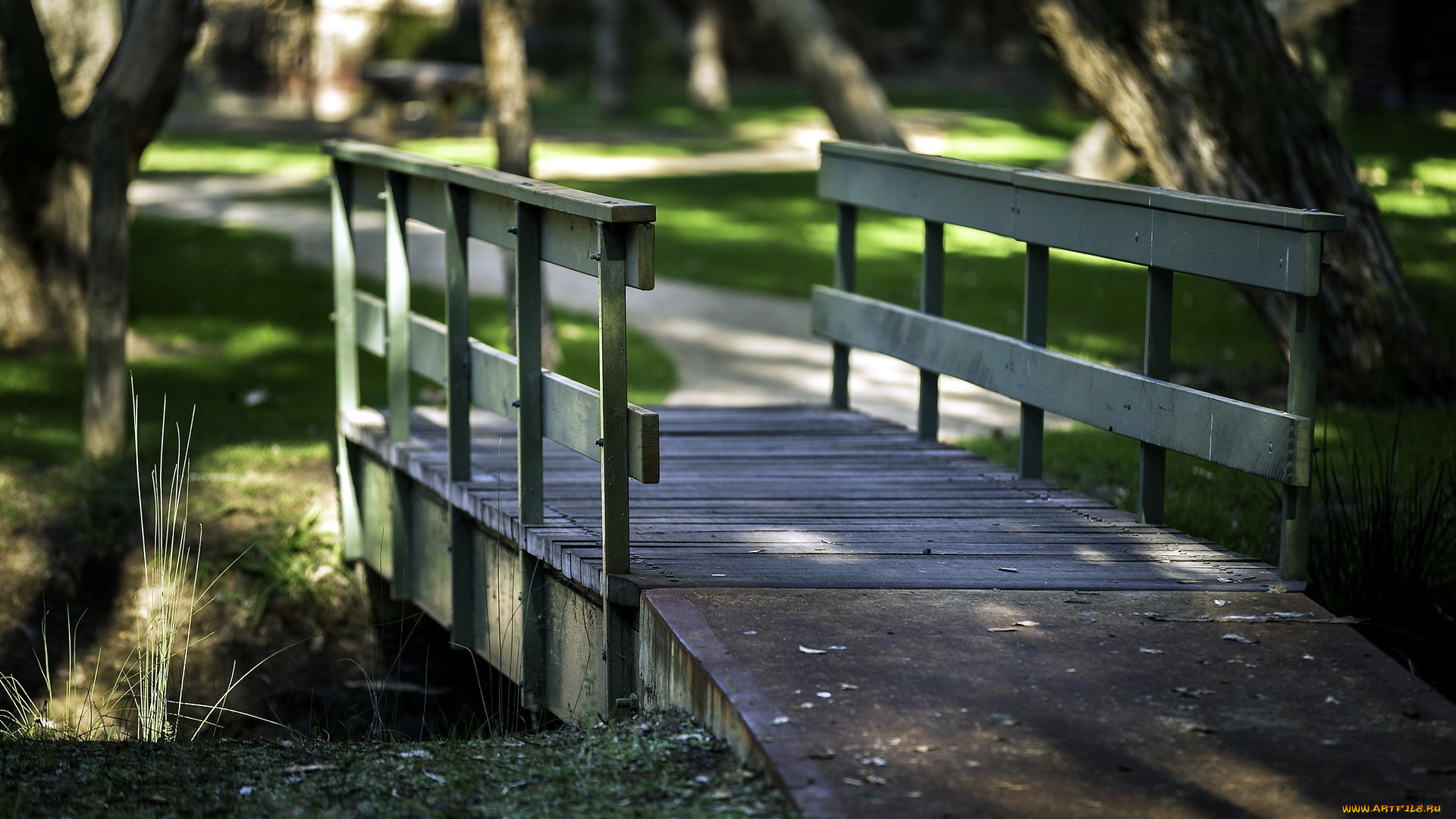 города, -, мосты, трава, деревья