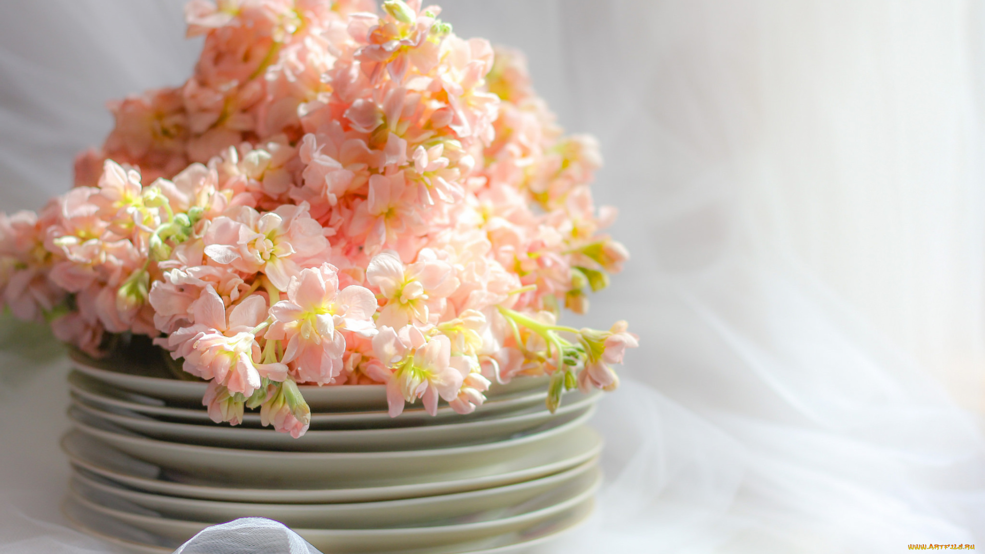 интерьер, декор, , отделка, , сервировка, посуда, фон, цветы