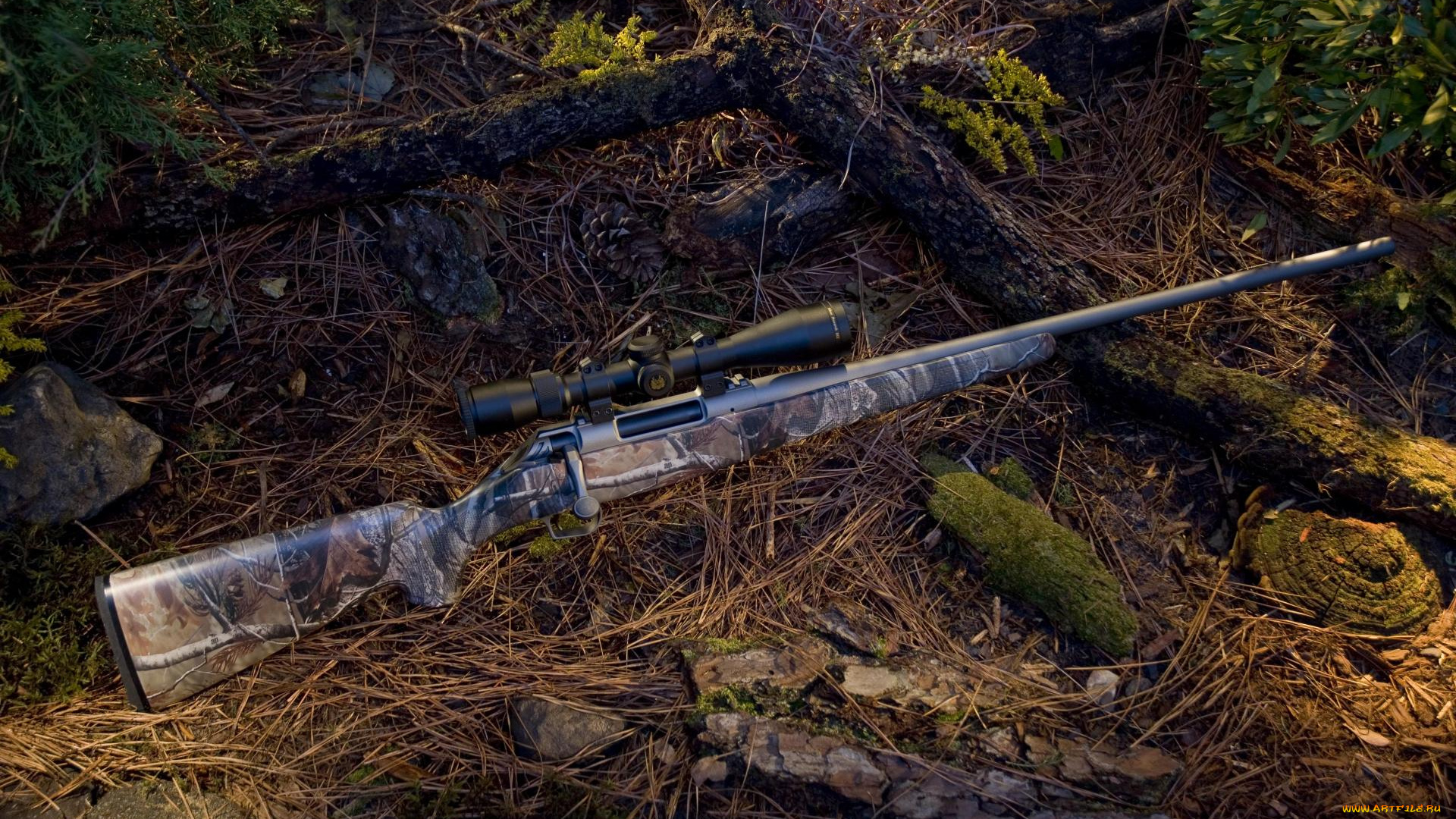 оружие, ружья, мушкеты, винчестеры, прицел, винтовка, ветки, хвоя