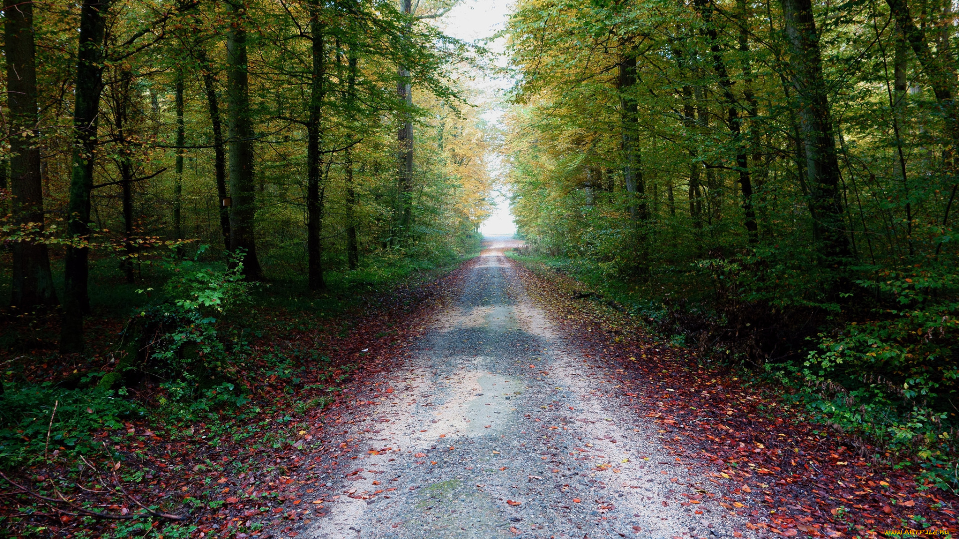 природа, дороги, тракт