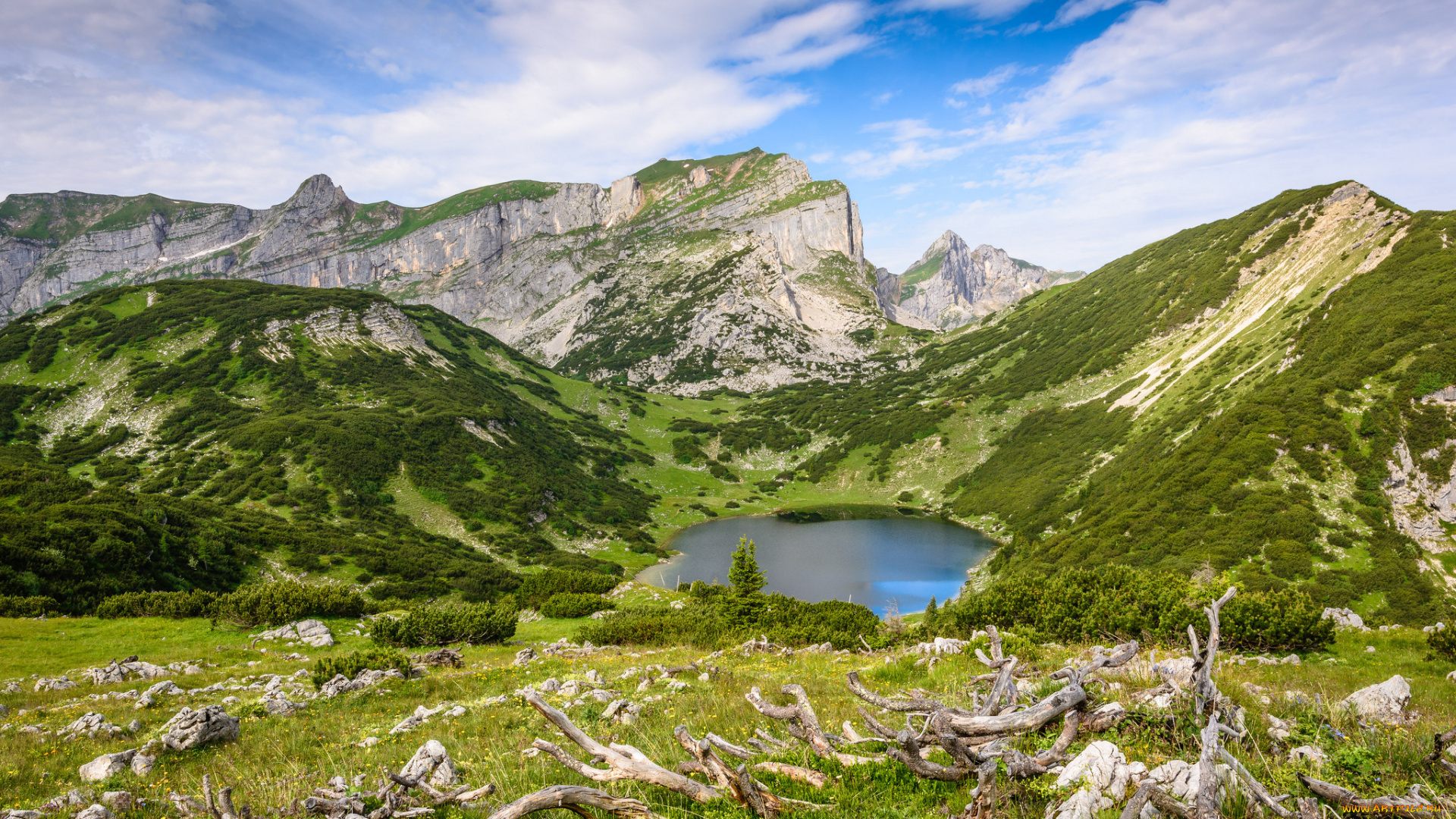 природа, горы, простор