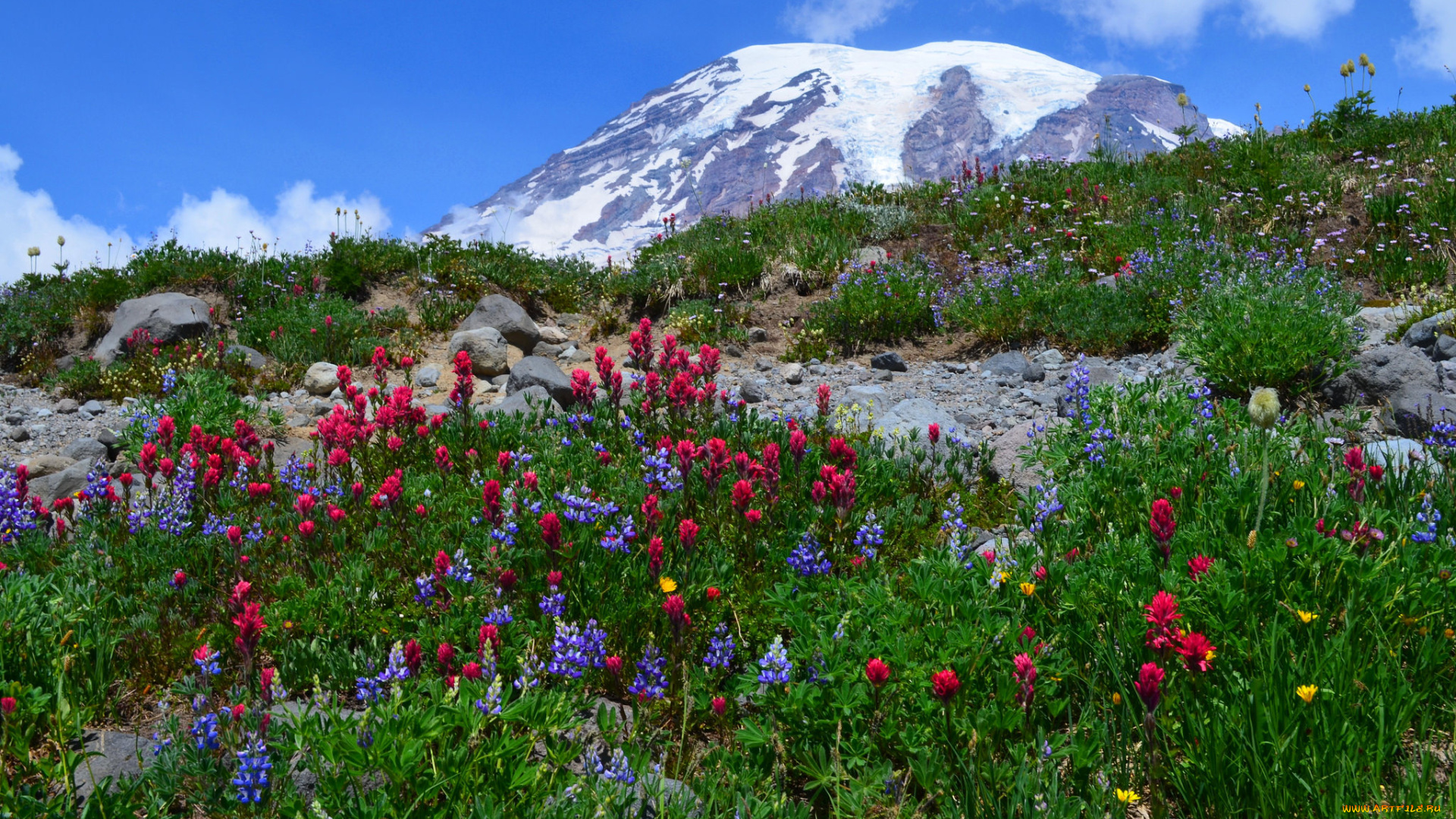 природа, горы, простор