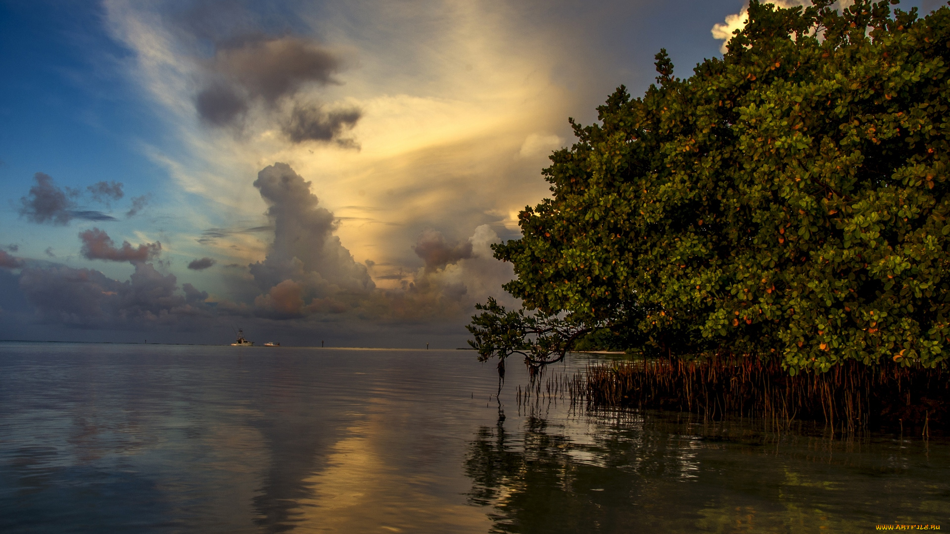 природа, моря, океаны, водоем, облака, деревья