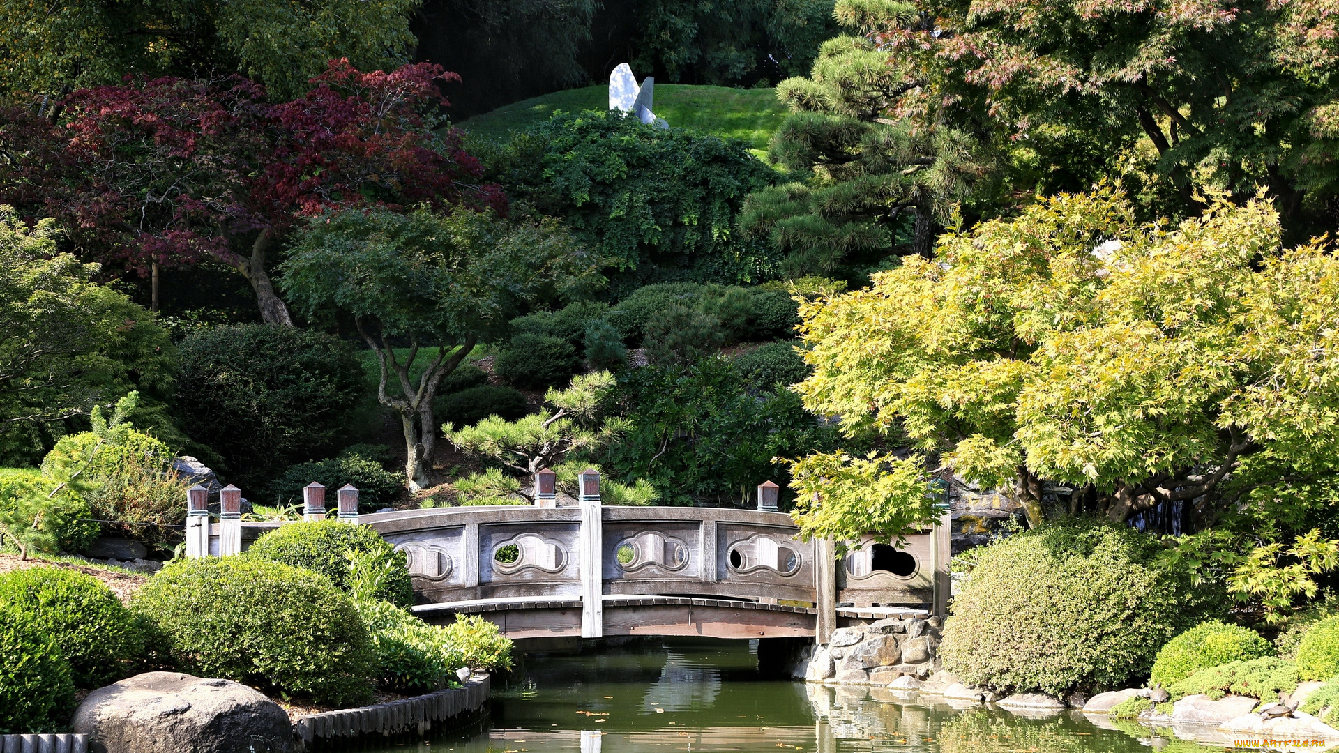 природа, парк, водоем, деревья, камни