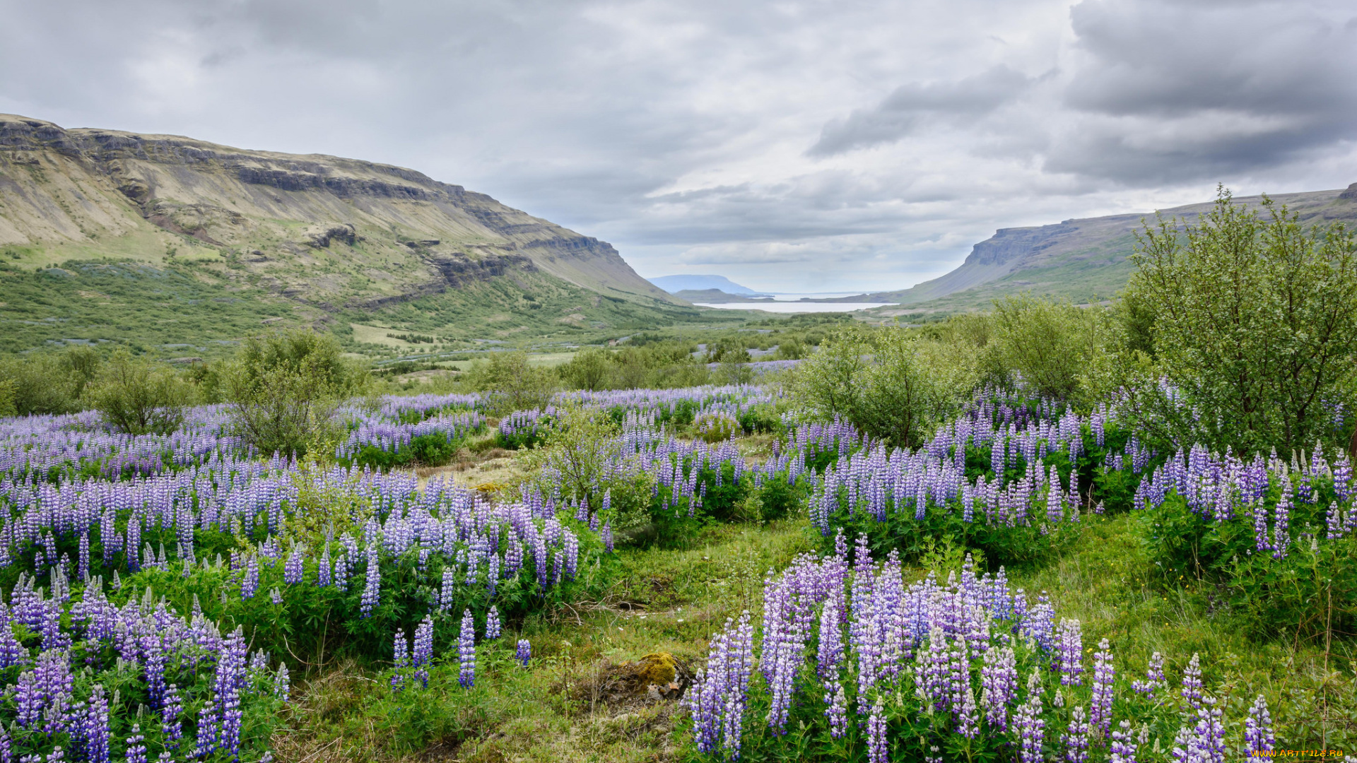 природа, пейзажи, простор