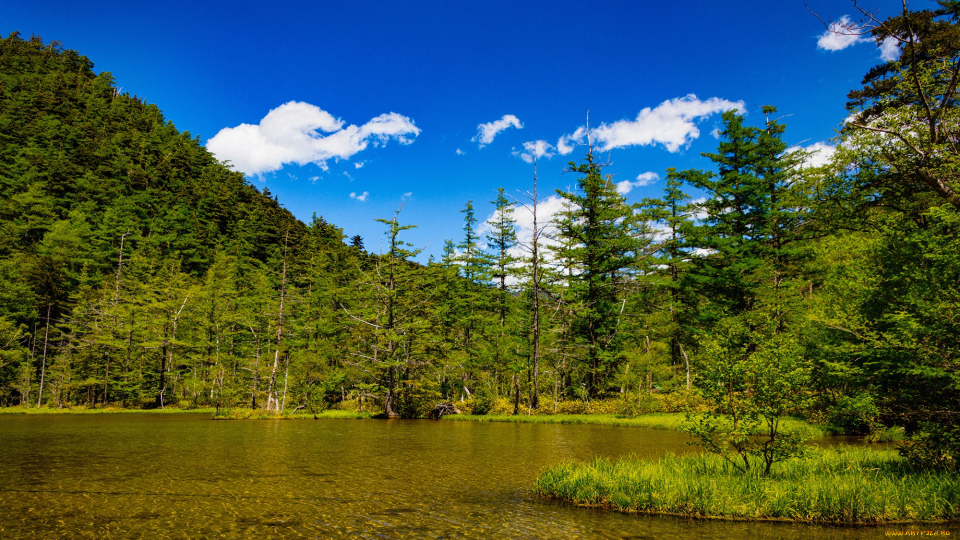 природа, реки, озера, лес, облака, небо, Япония, деревья, горы, nagano, солнце, зелень, озеро, kamikochi