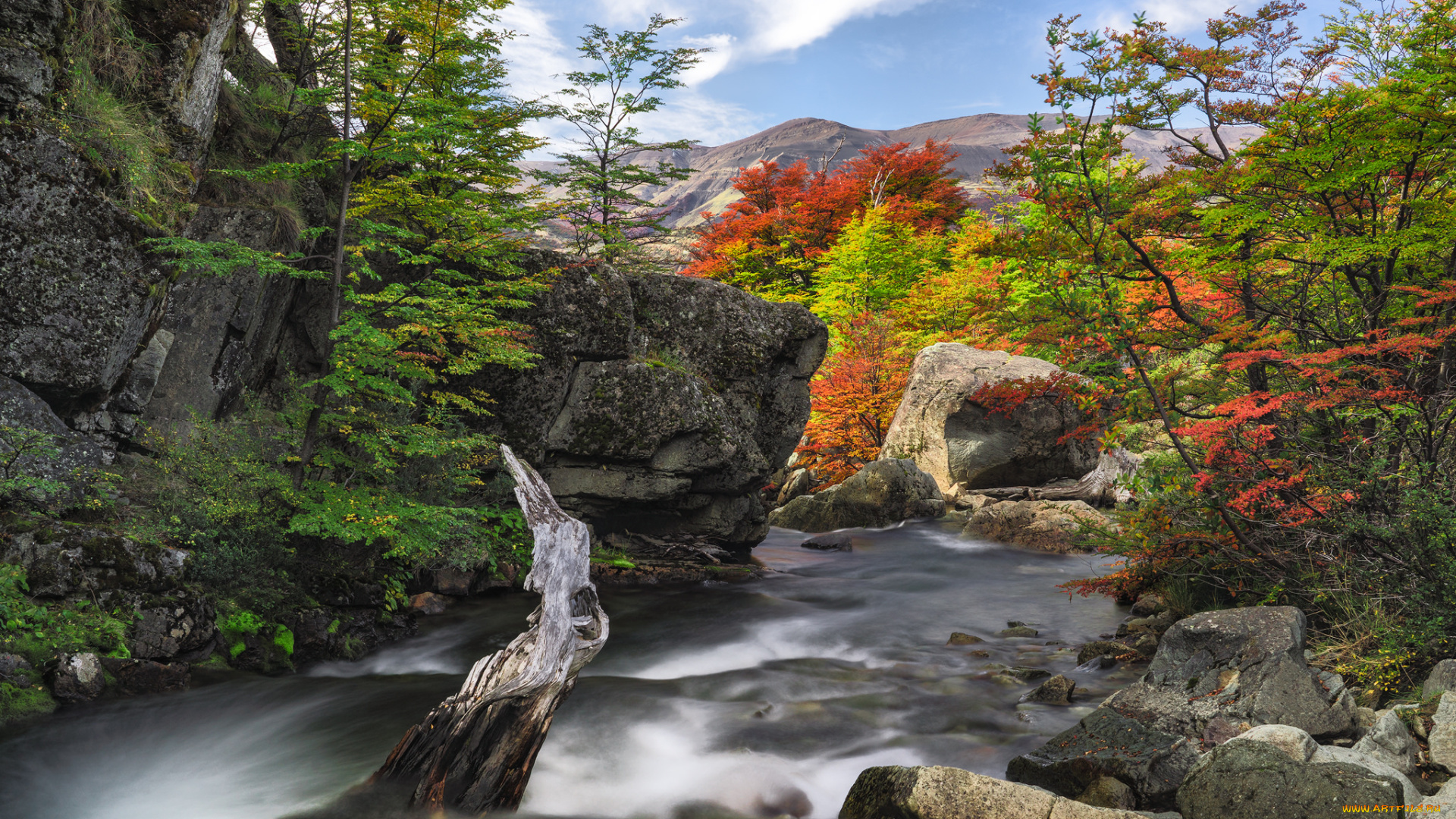 природа, реки, озера, простор