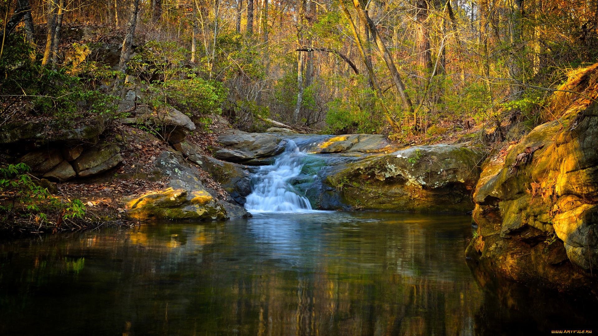 природа, реки, озера, река, лес