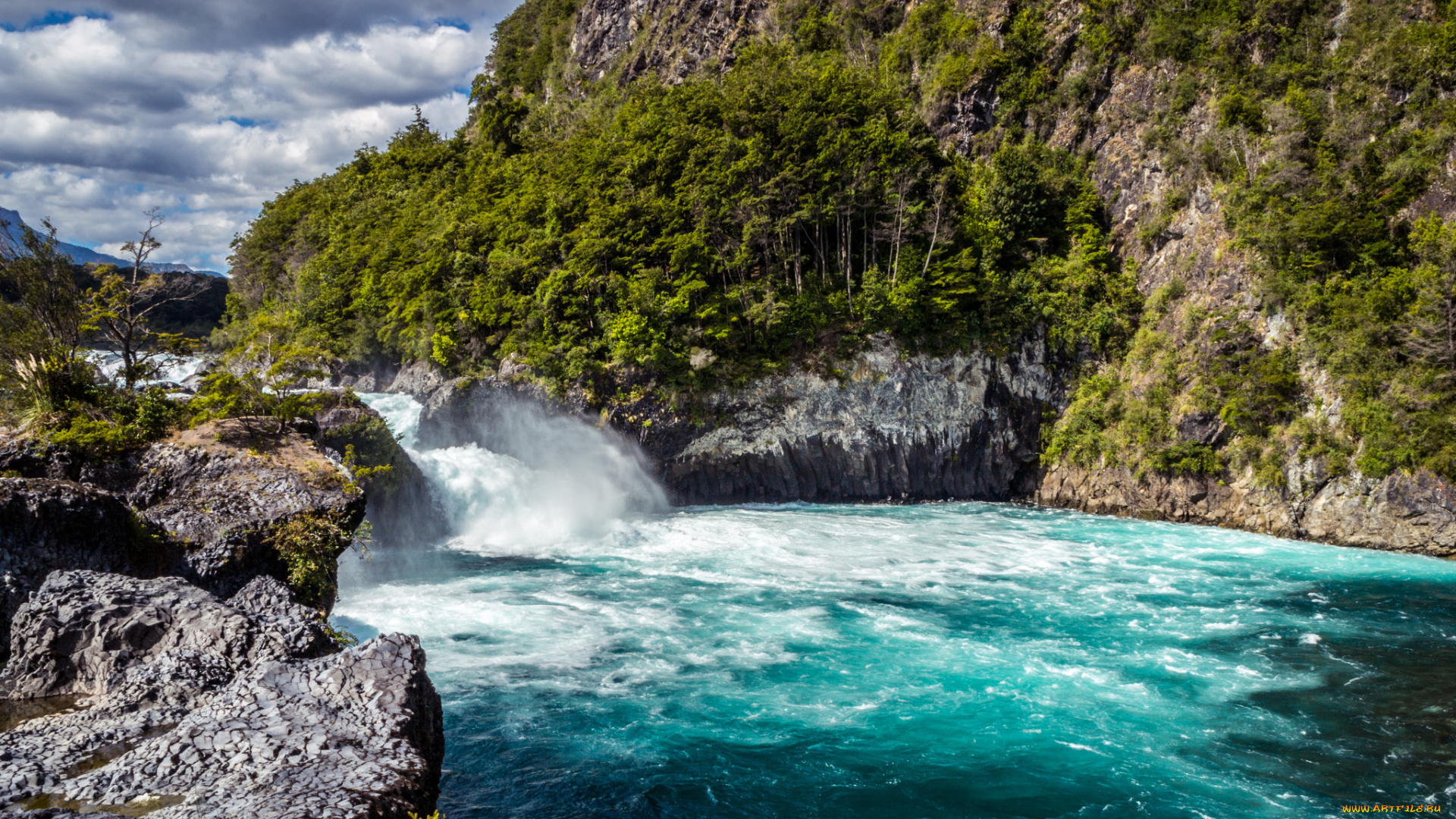 природа, реки, озера, река, лес