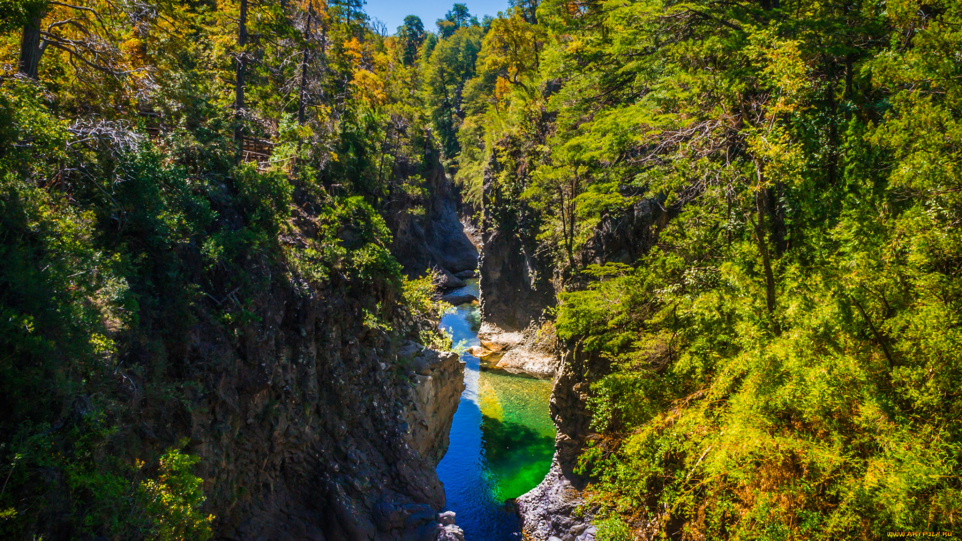 природа, реки, озера, река, лес