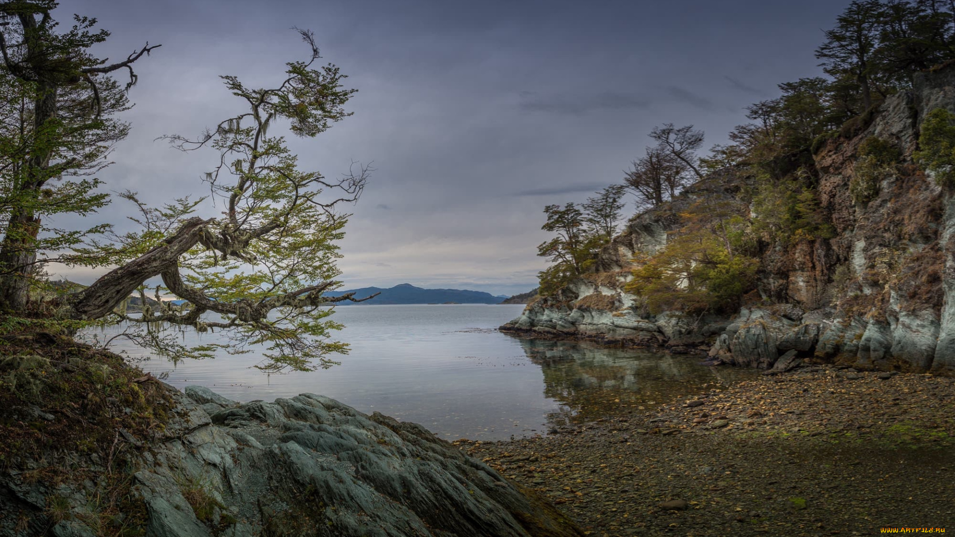 природа, реки, озера, река, лес