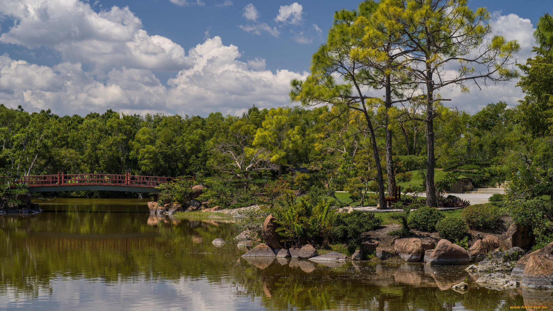 природа, реки, озера, река, лес