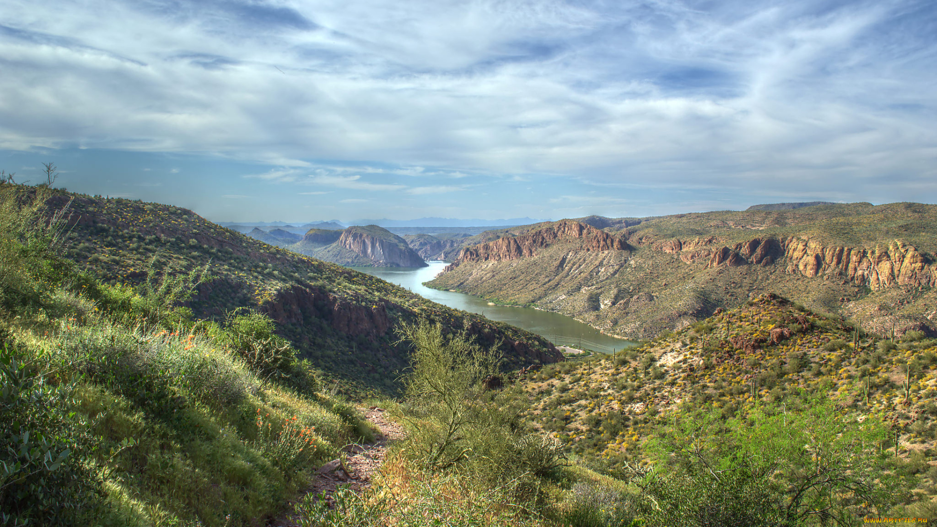 природа, реки, озера, река, лес