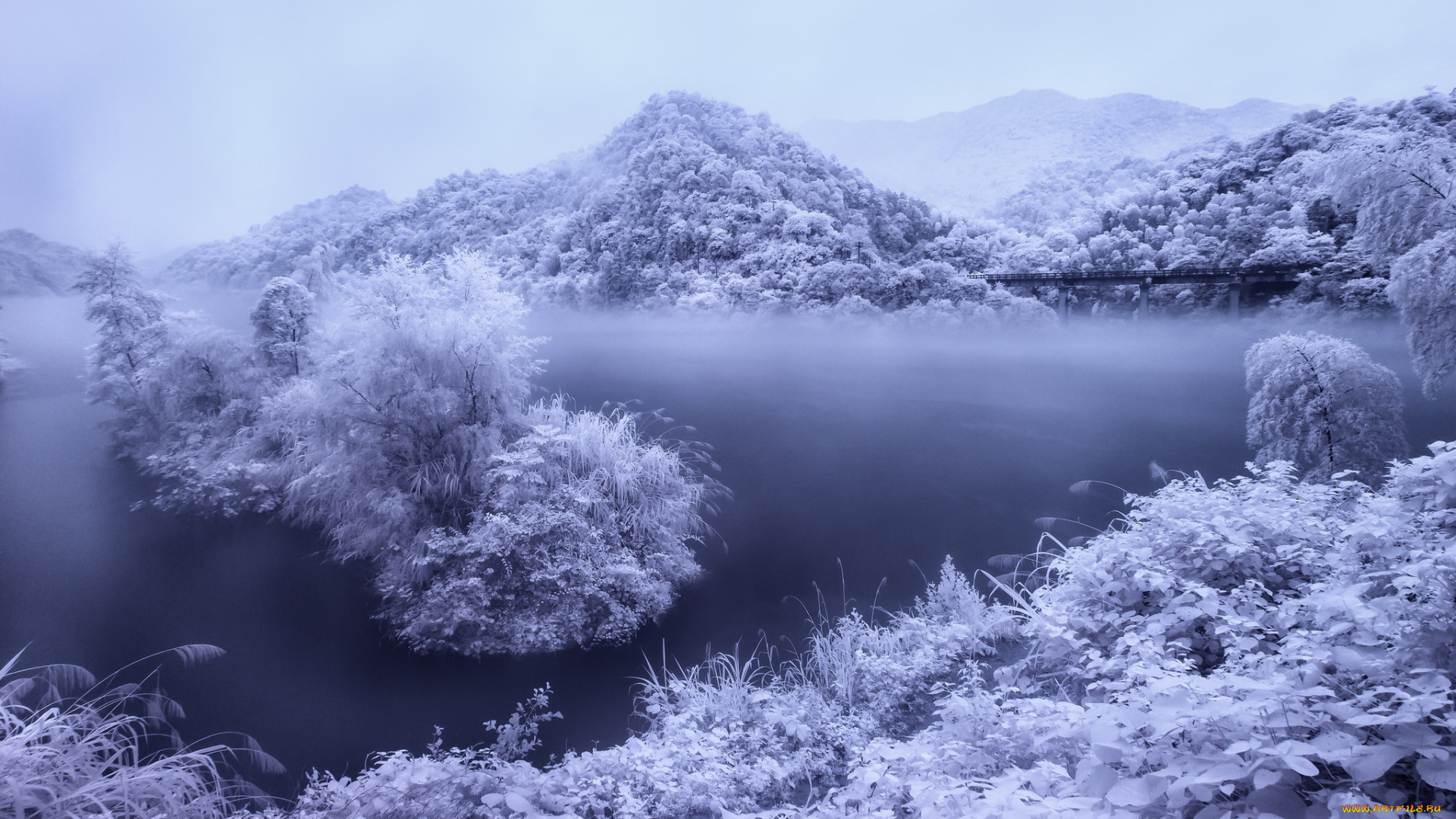 природа, реки, озера, trees, зимний, пейзаж, snow, river, winter, снег, деревья, река, зима, view