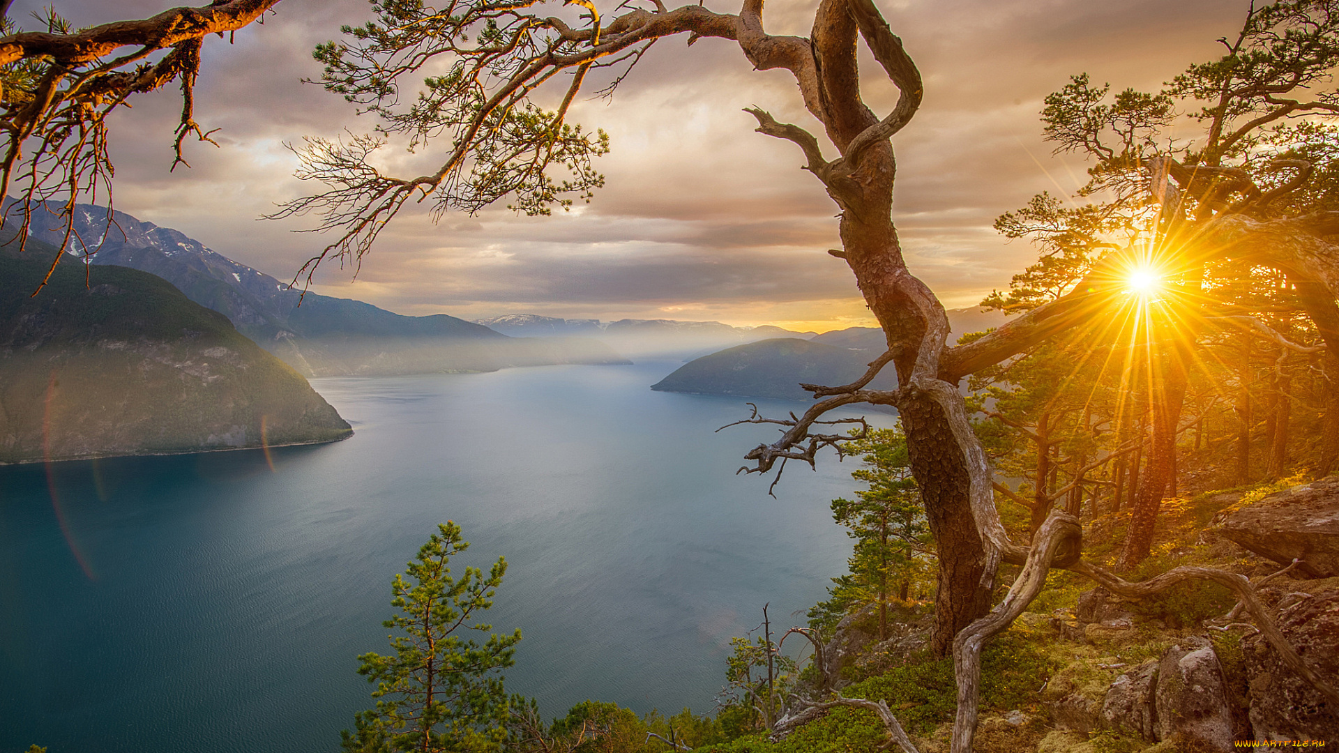 природа, восходы, закаты, закат, камни, лучи, солнца, скалы, норвегия, фьорды, деревья, горы, залив