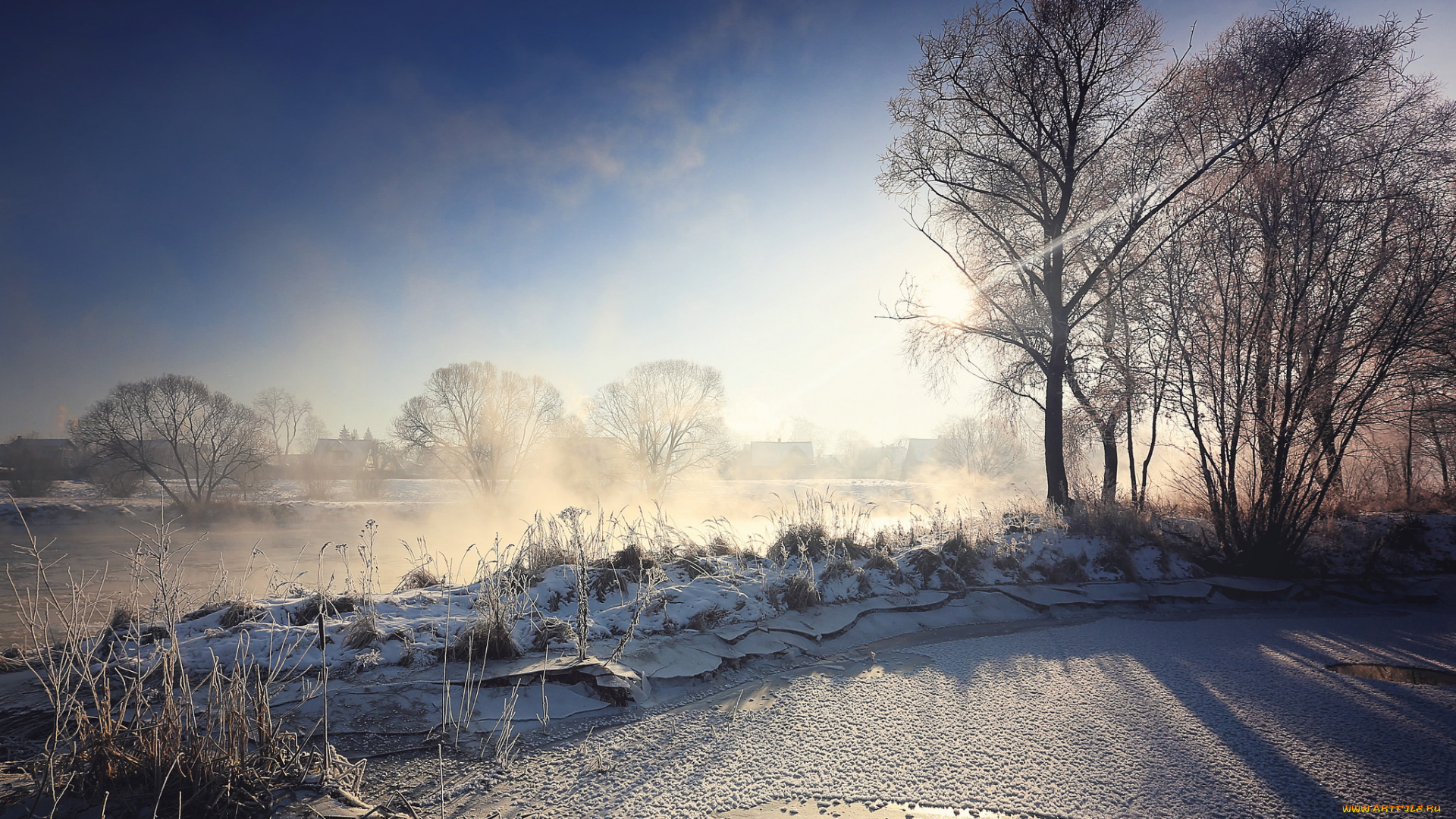 природа, зима, утро