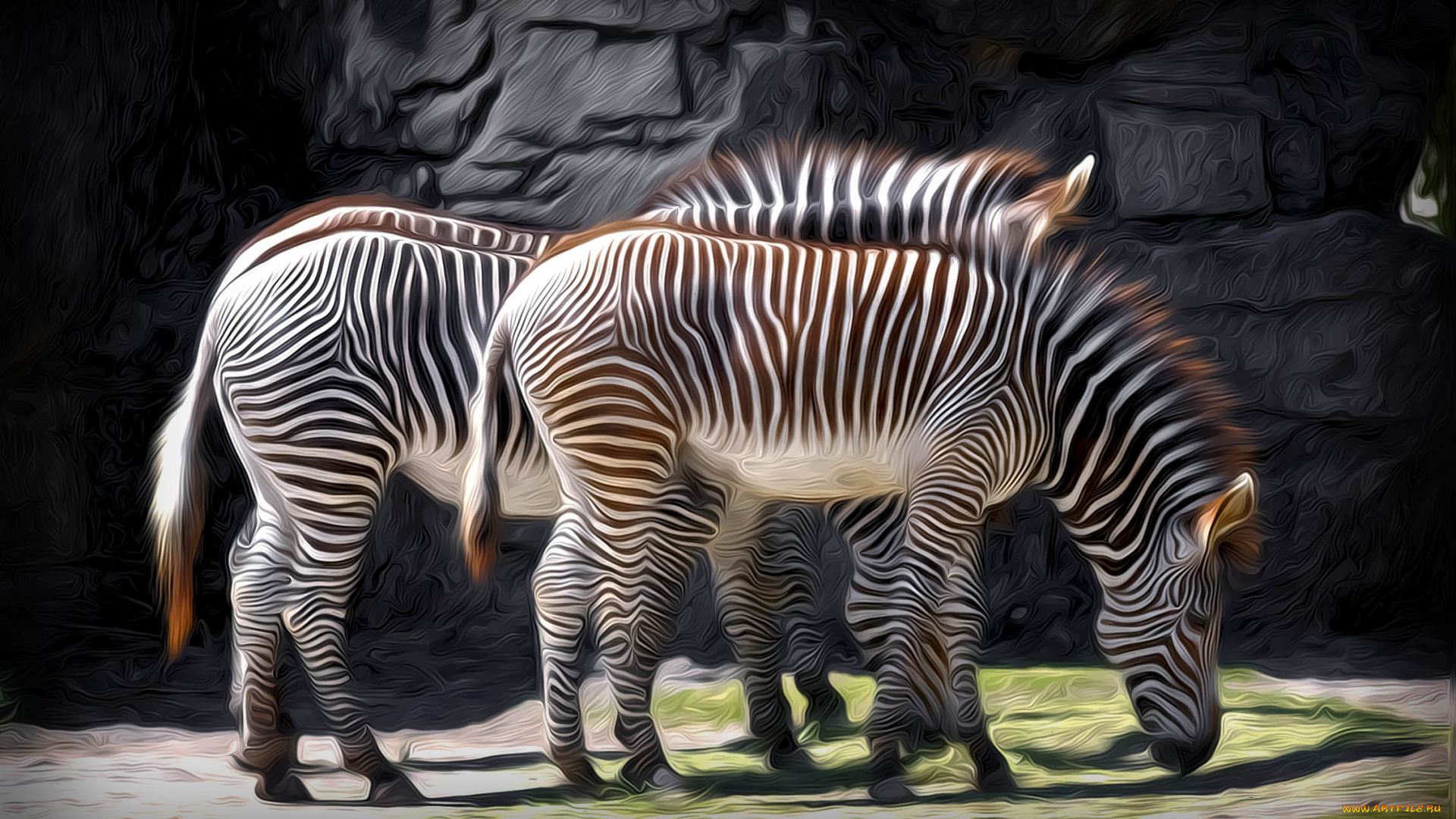 разное, компьютерный, дизайн, зебра, рисунок, дизайн, животное