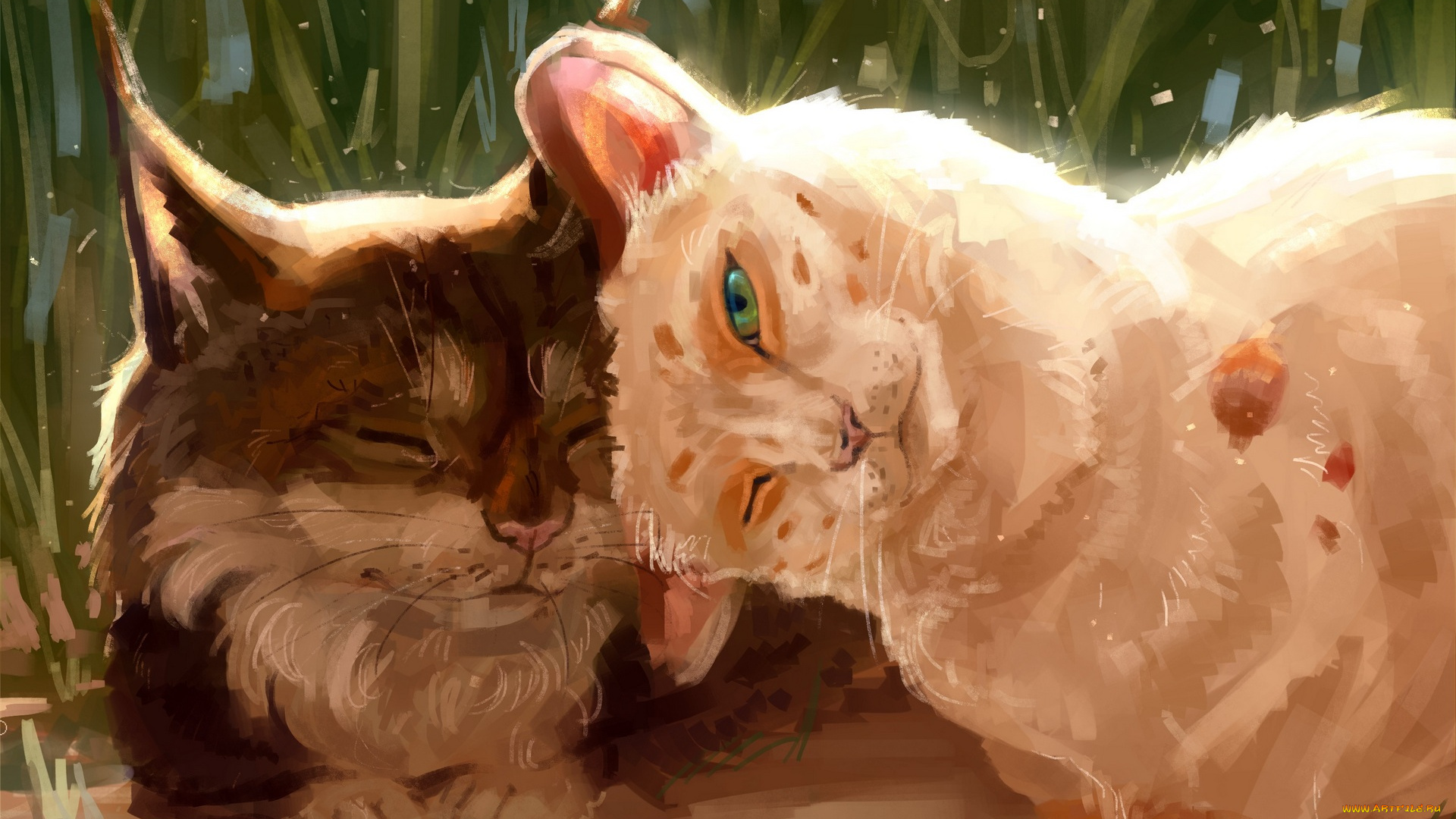 рисованное, животные, , коты, ласка, двое, трава