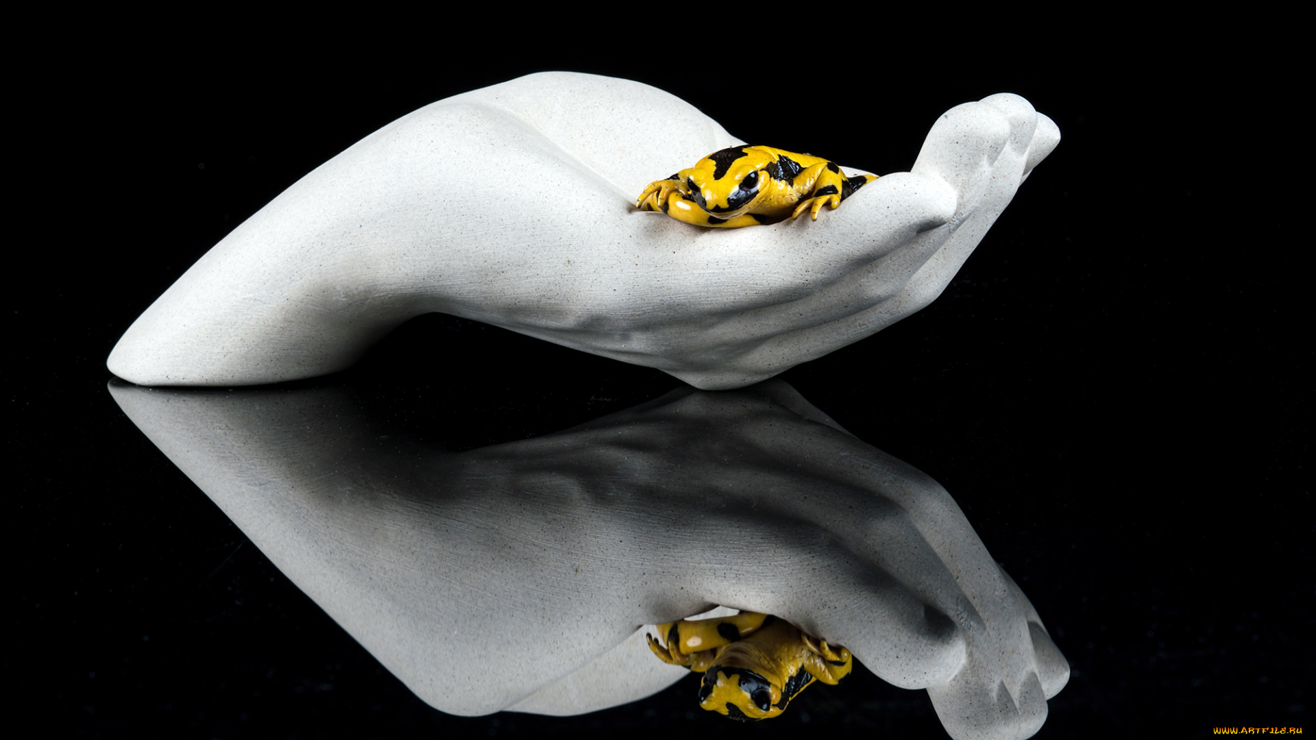 животные, Ящерицы, , игуаны, , вараны, ящерка