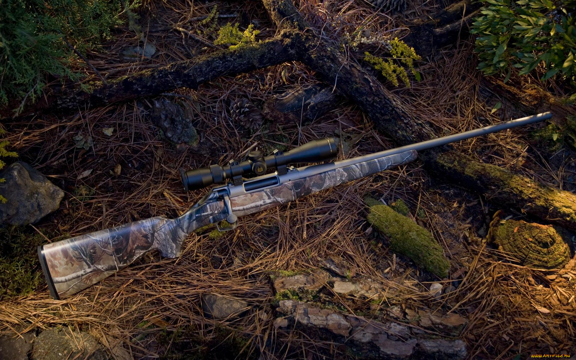 оружие, ружья, мушкеты, винчестеры, прицел, винтовка, ветки, хвоя
