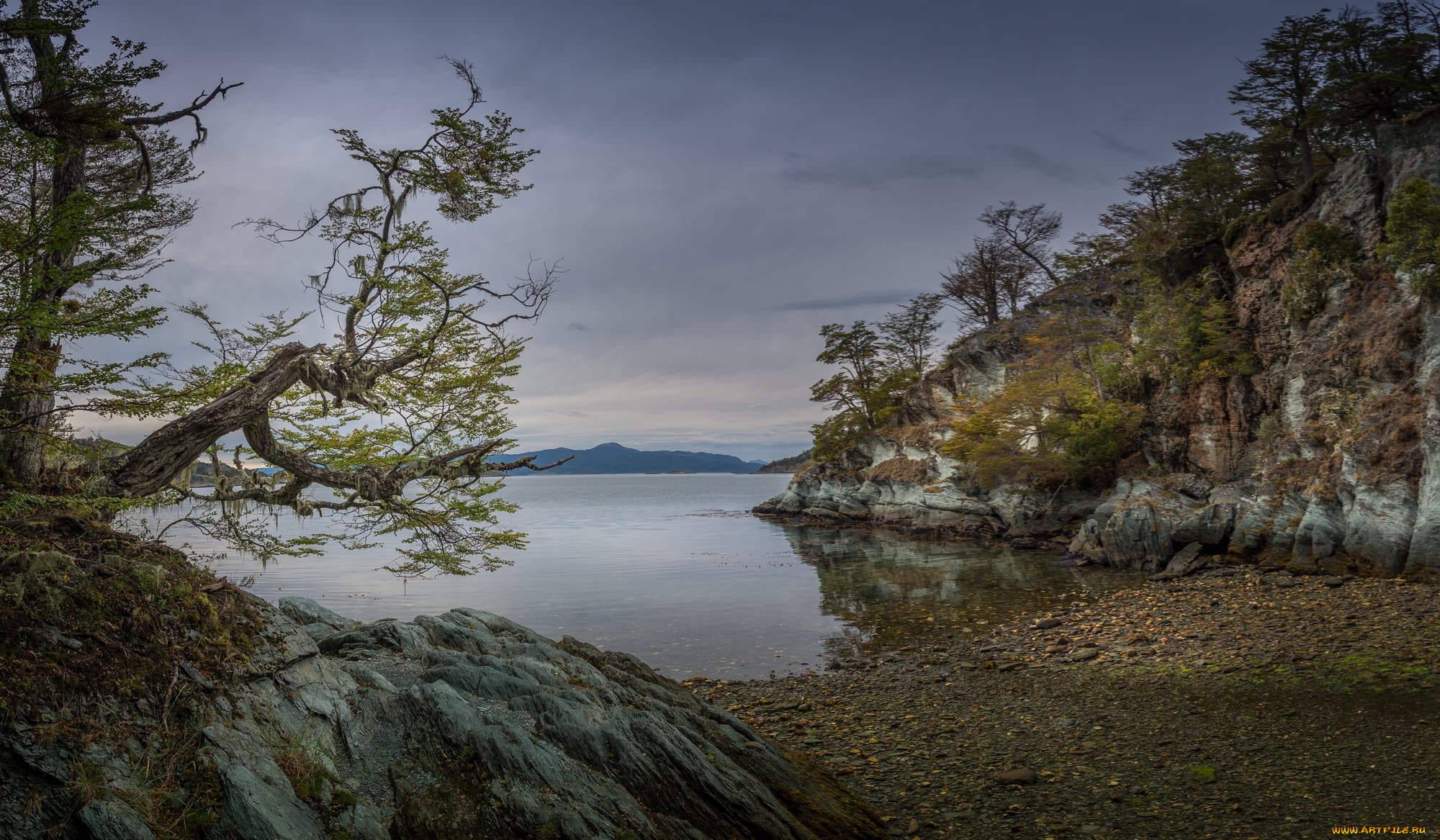 природа, реки, озера, река, лес