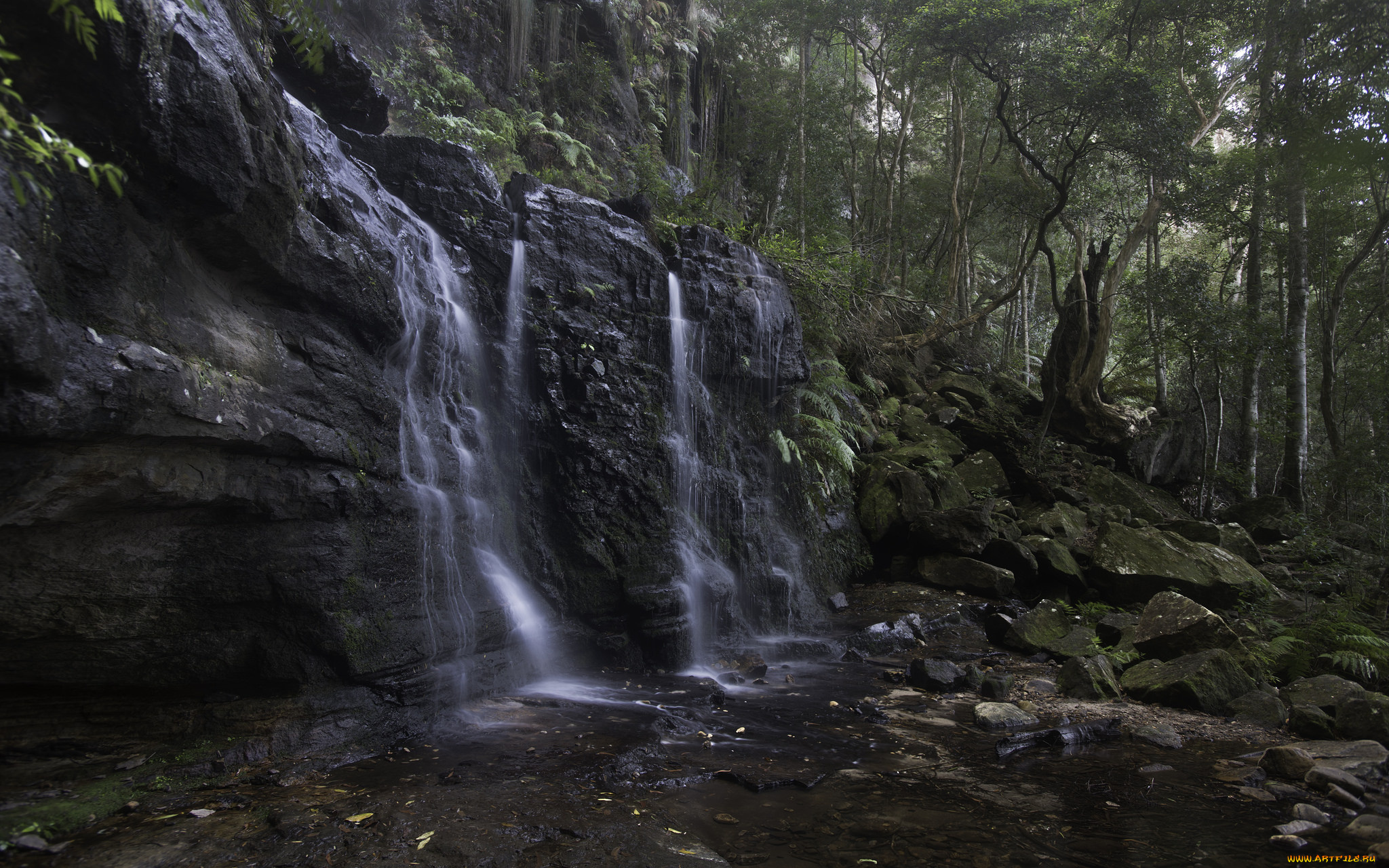 природа, водопады, река, лес, водопад