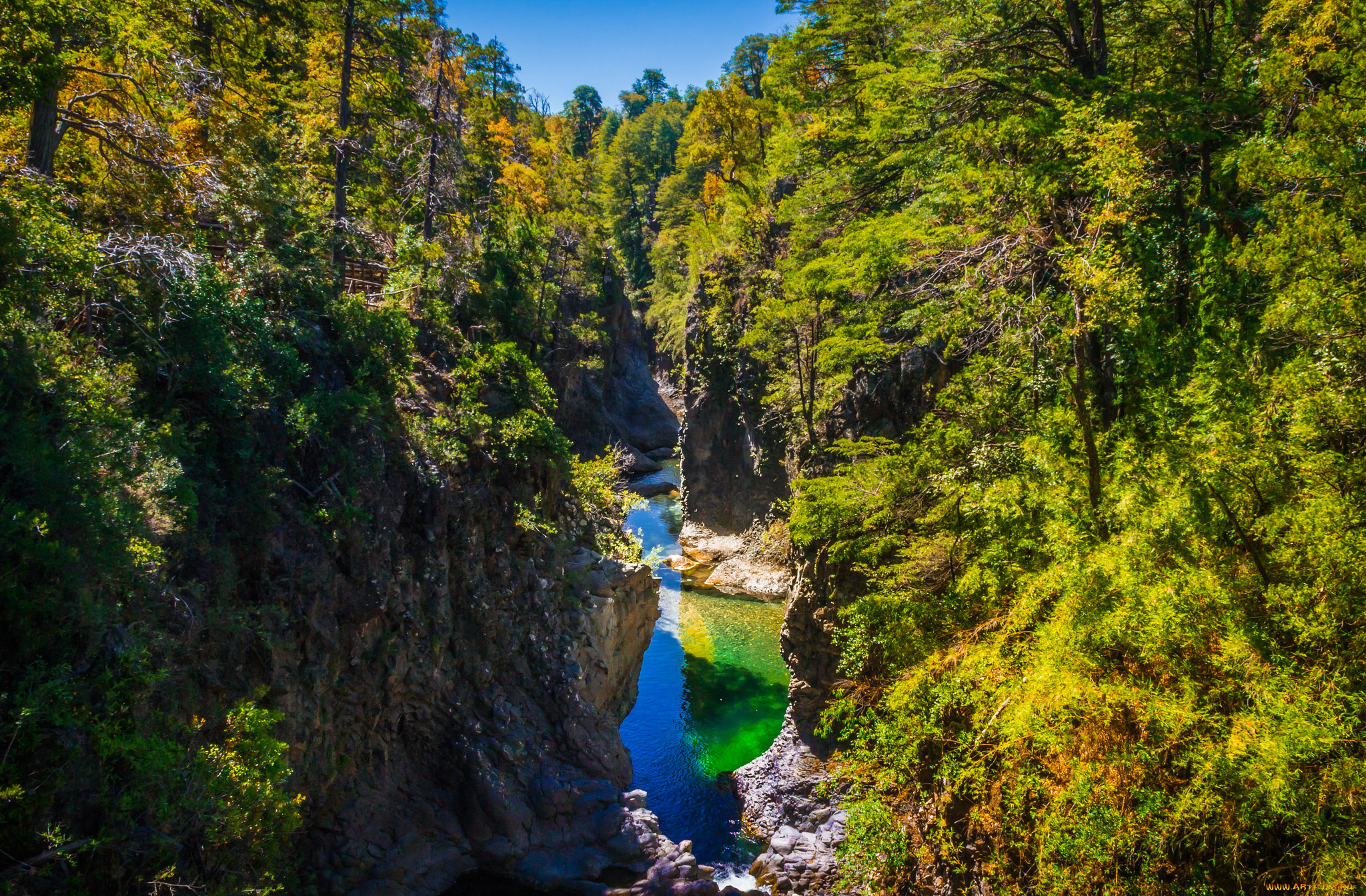 природа, реки, озера, река, лес