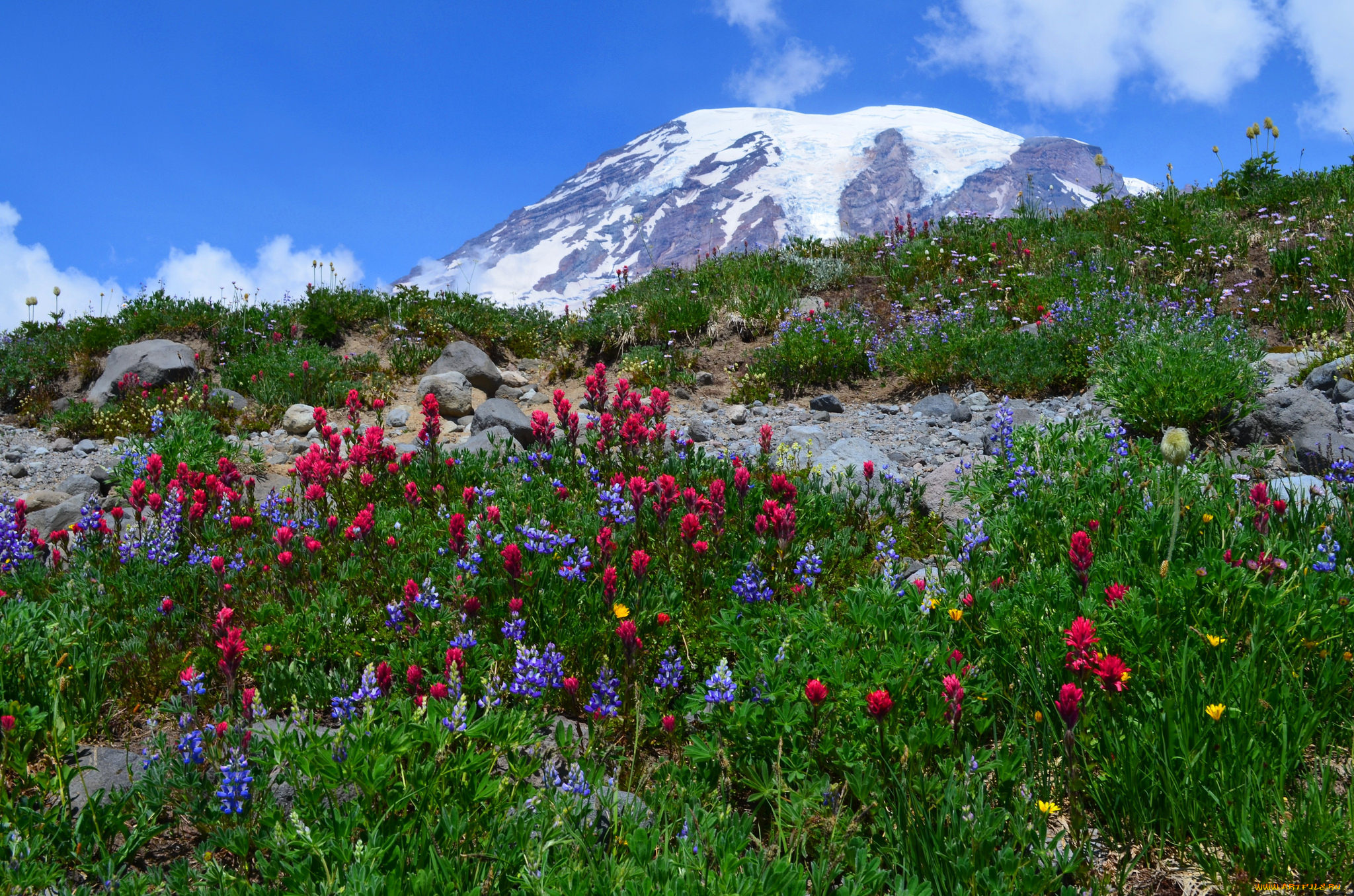 природа, горы, простор