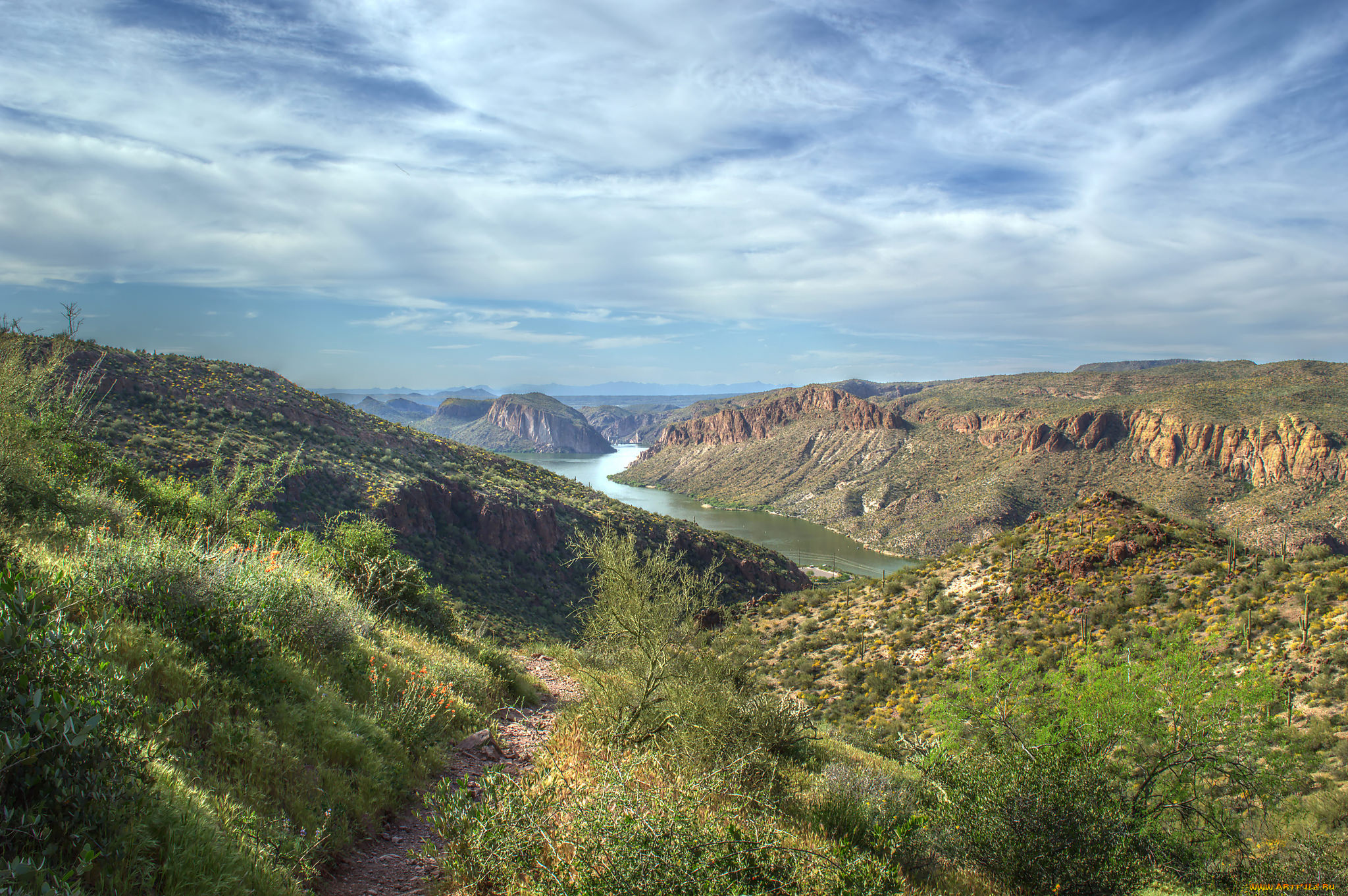 природа, реки, озера, река, лес