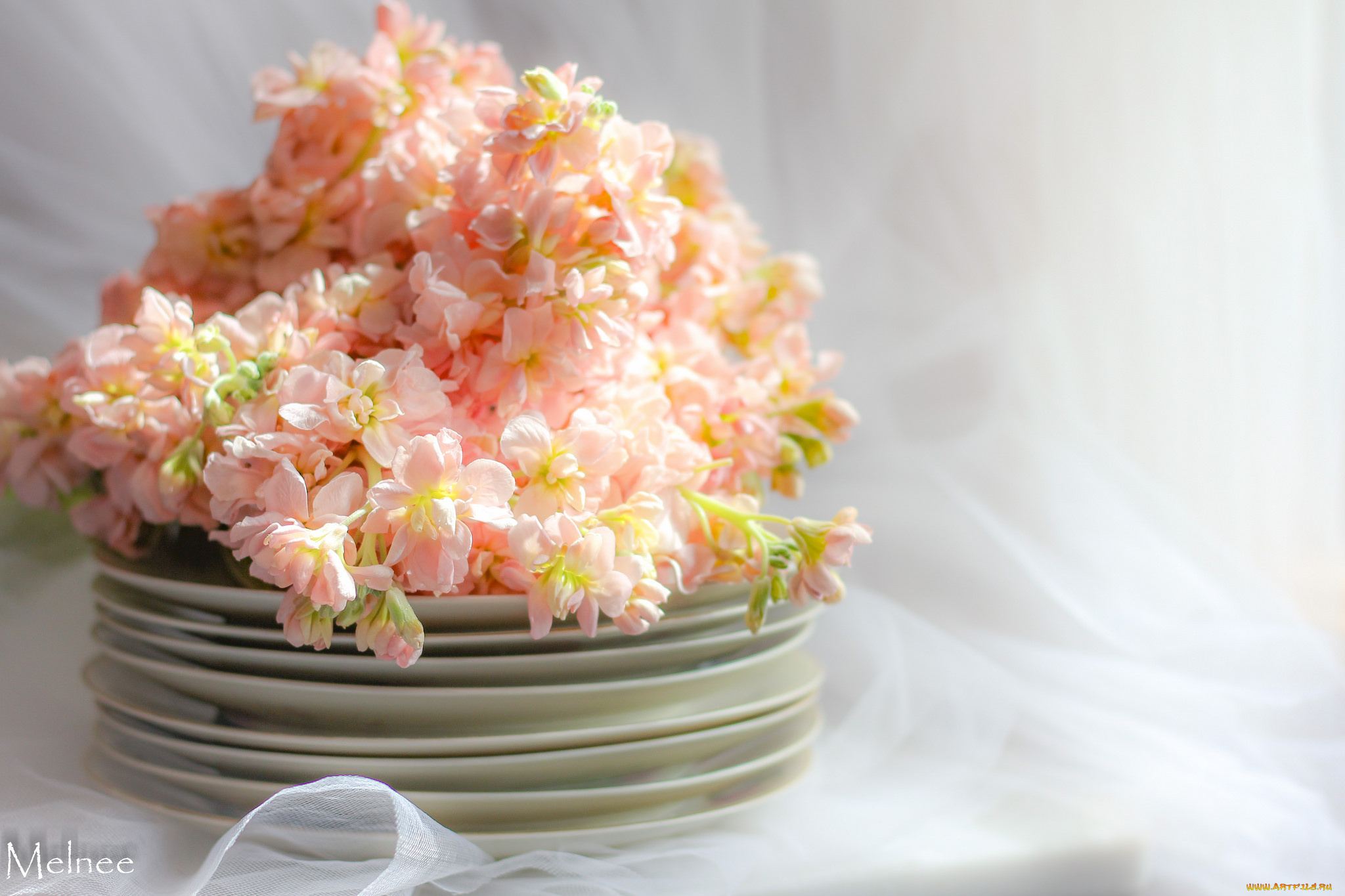 интерьер, декор, , отделка, , сервировка, посуда, фон, цветы