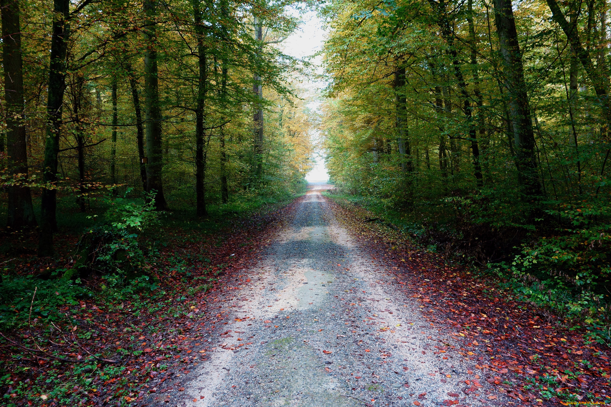 природа, дороги, тракт