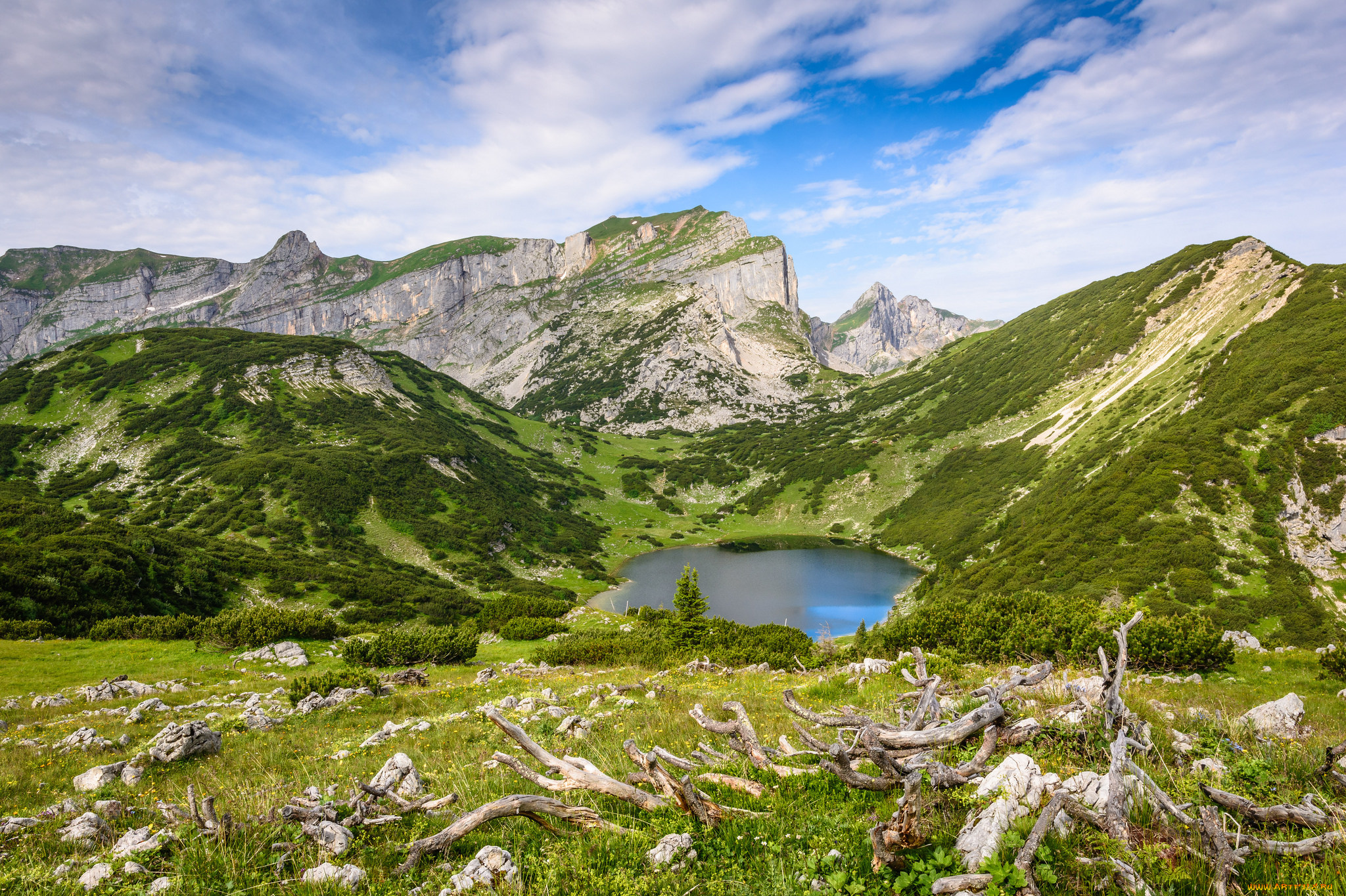 природа, горы, простор