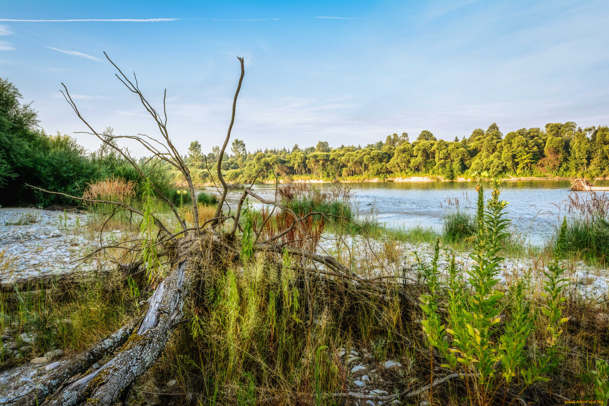 природа, реки, озера, простор