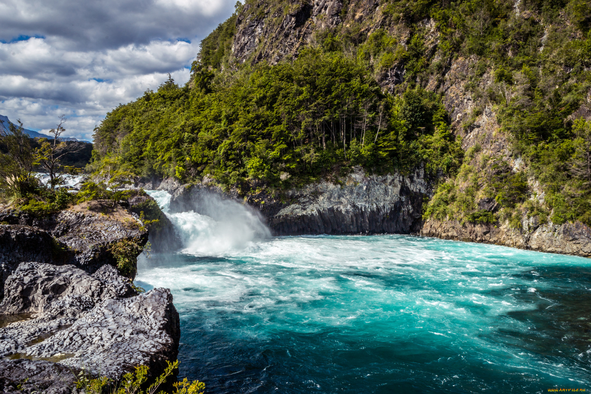 природа, реки, озера, река, лес