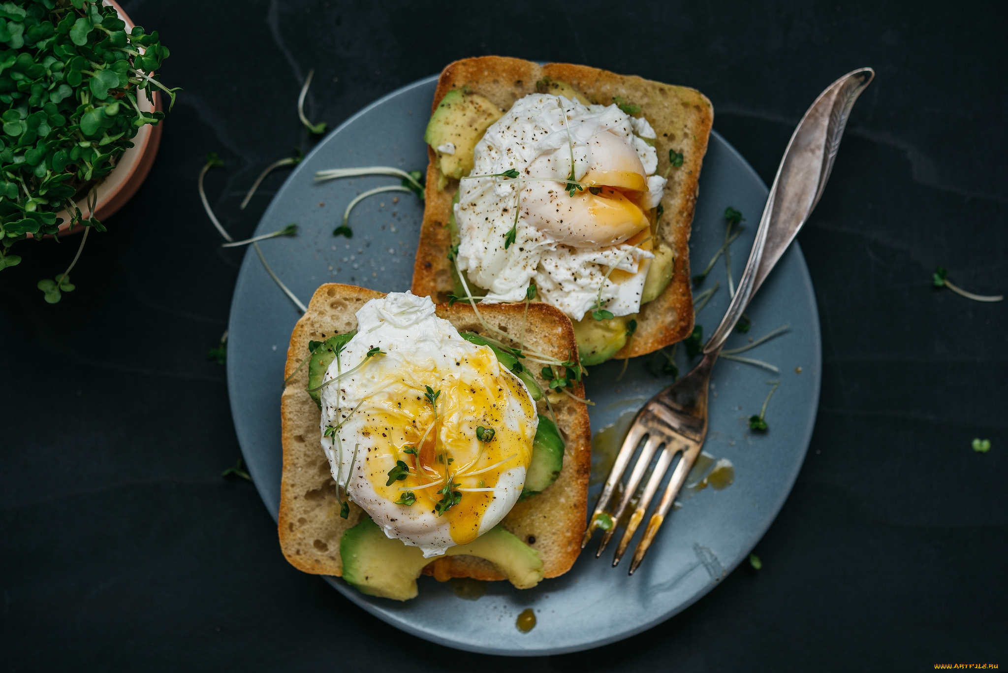 еда, бутерброды, , гамбургеры, , канапе, ланч