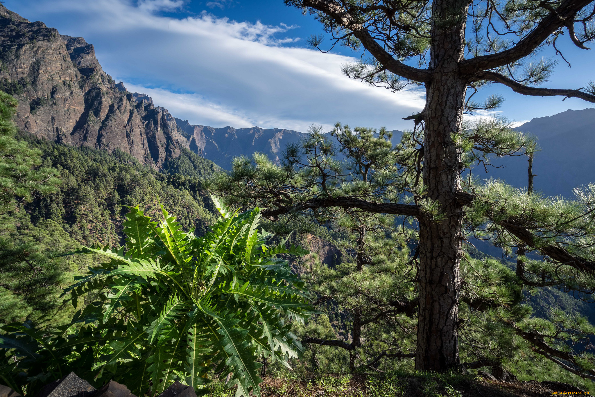 природа, горы, простор