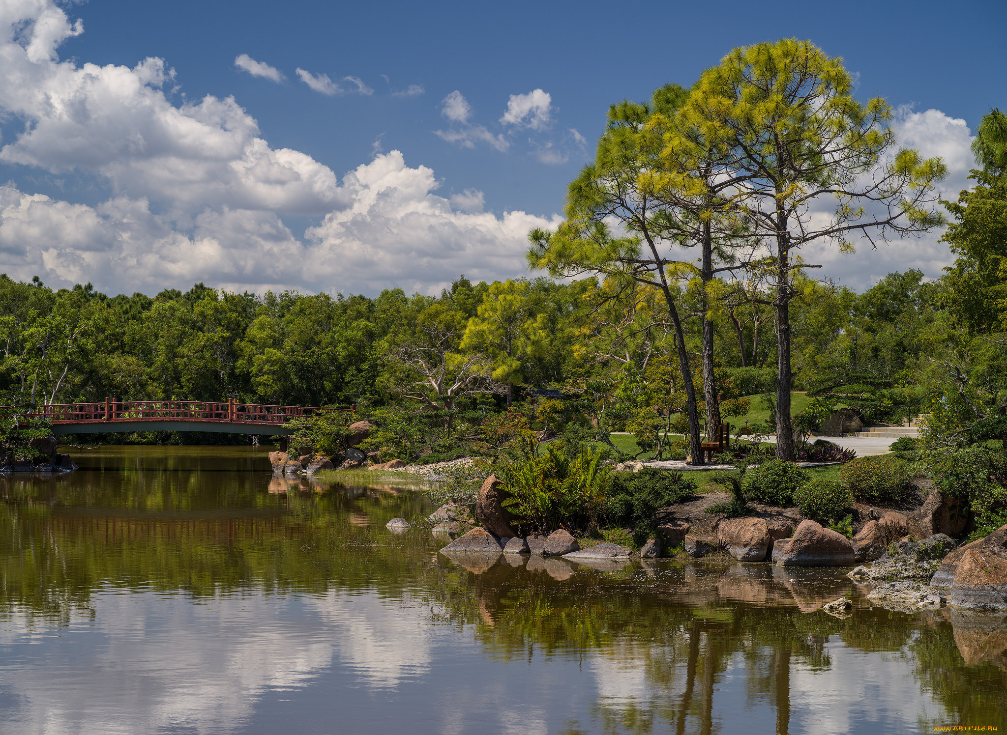 природа, реки, озера, река, лес