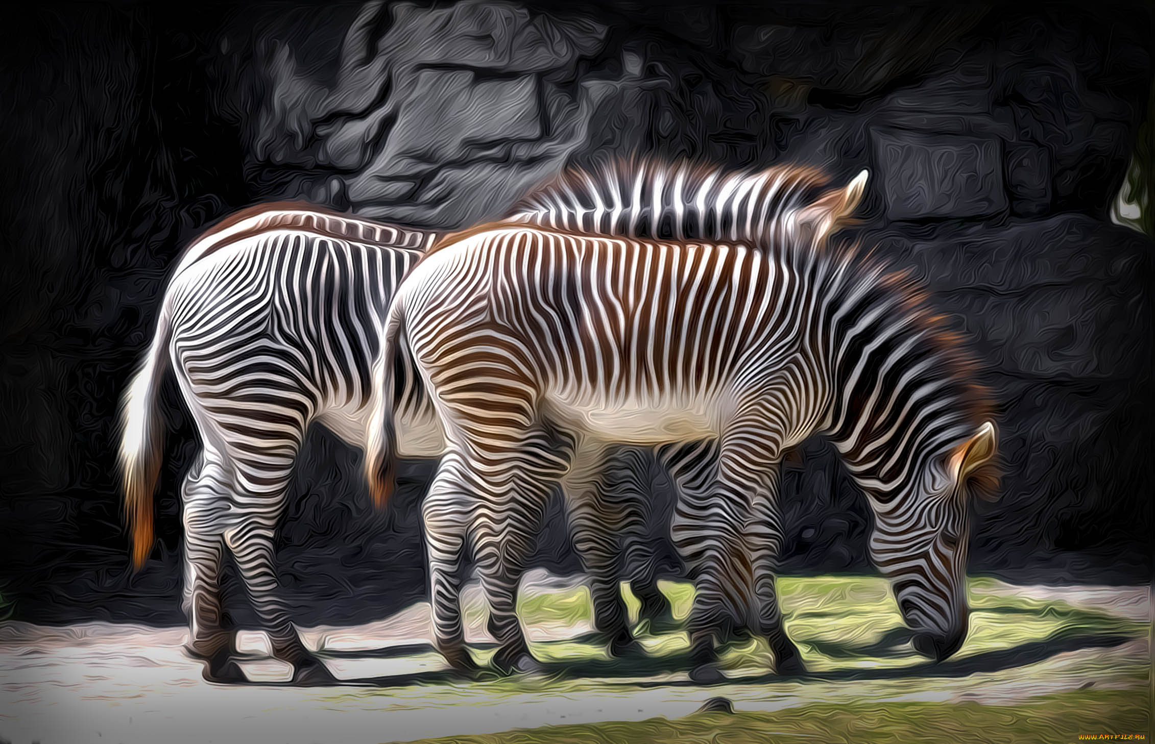 разное, компьютерный, дизайн, зебра, рисунок, дизайн, животное