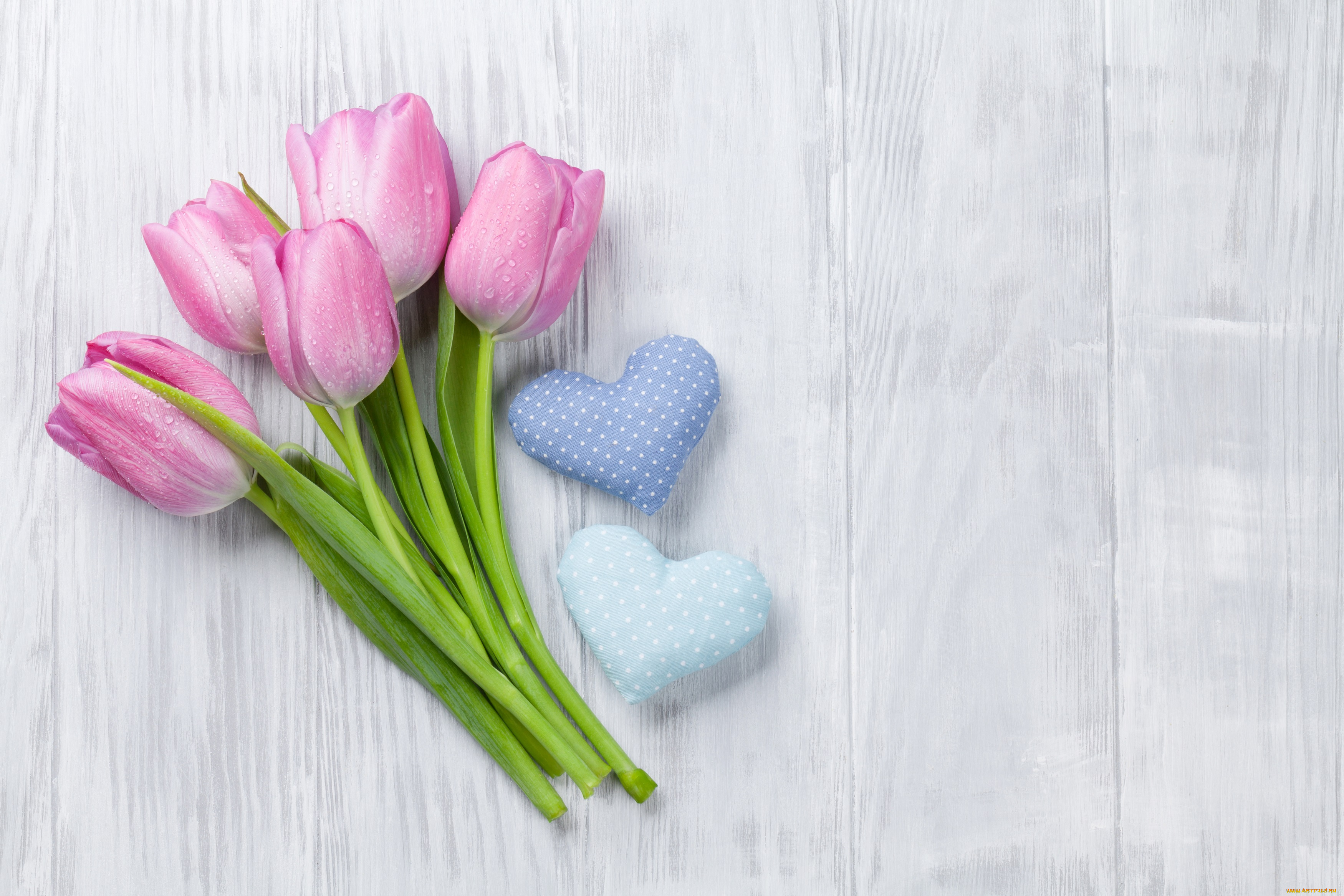 цветы, тюльпаны, цветение, разноцветные, лепестки, много