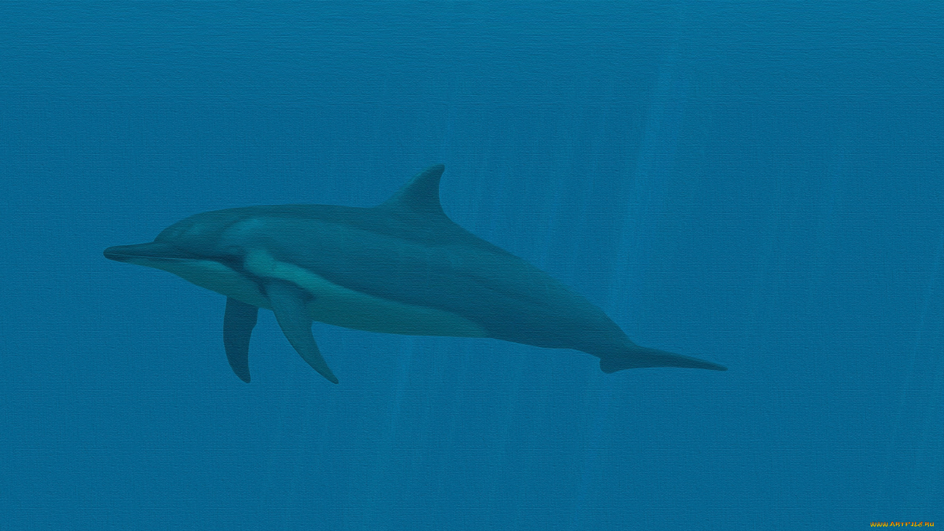 рисованное, животные, , дельфины, дельфин, фон