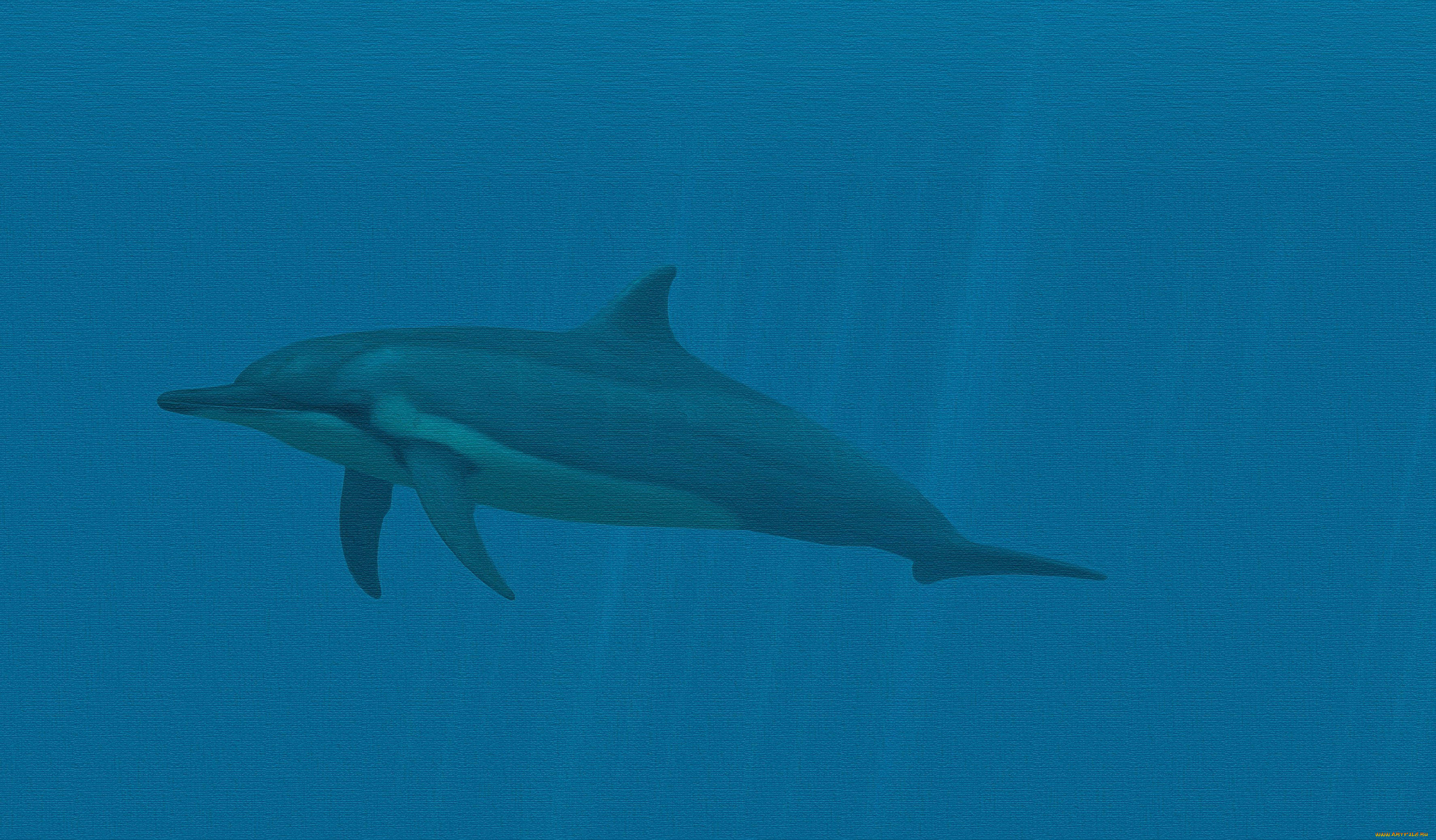 рисованное, животные, , дельфины, дельфин, фон