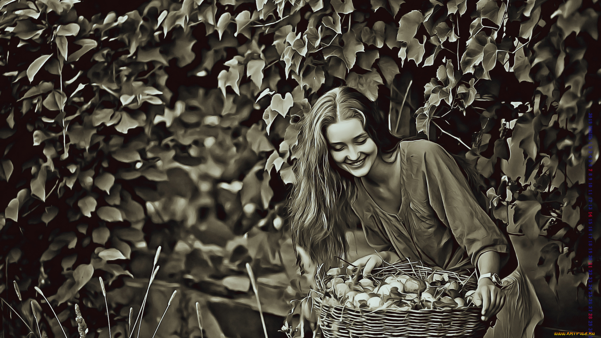 календари, компьютерный, дизайн, 2019, урожай, улыбка, девушка, корзина, calendar, женщина, дерево, овощи