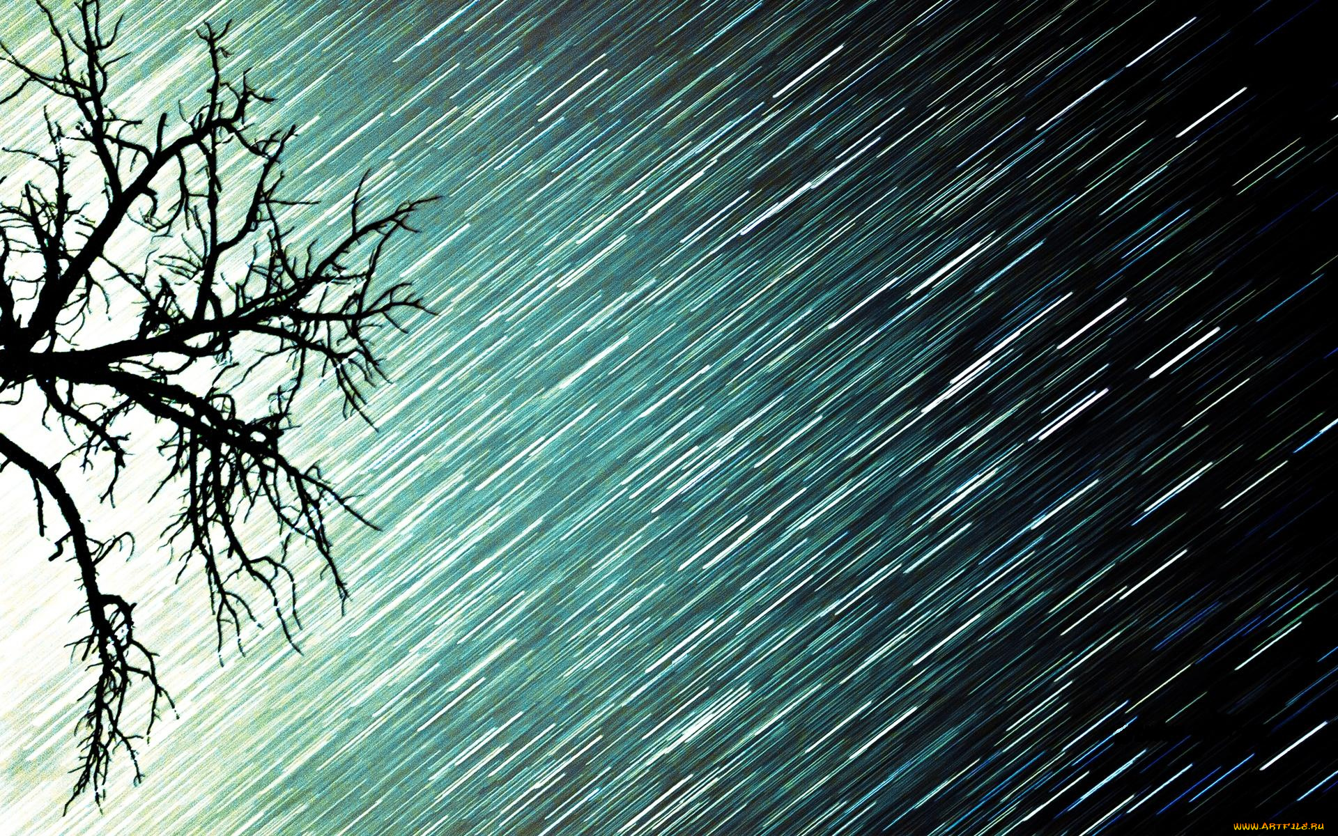 разное, компьютерный, дизайн, свет, дождь, ветки