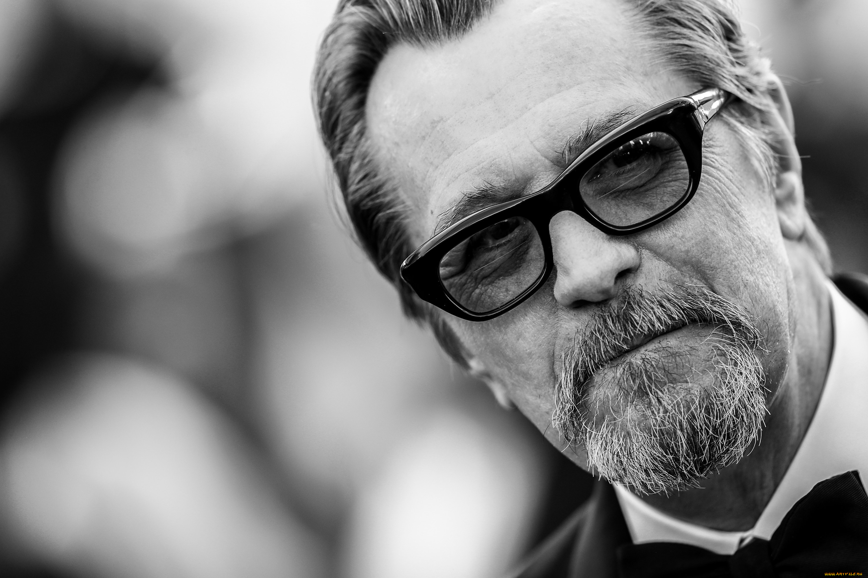 мужчины, gary, oldman, актер, лицо, борода, очки