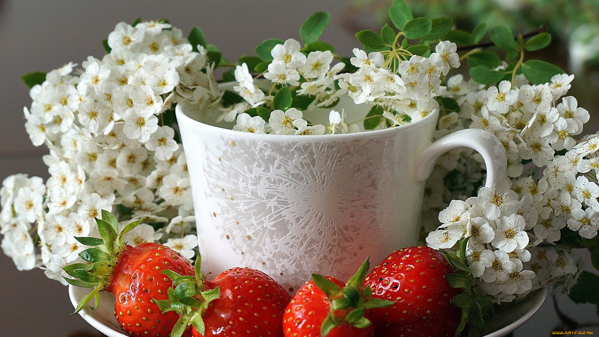 еда, клубника, , земляника