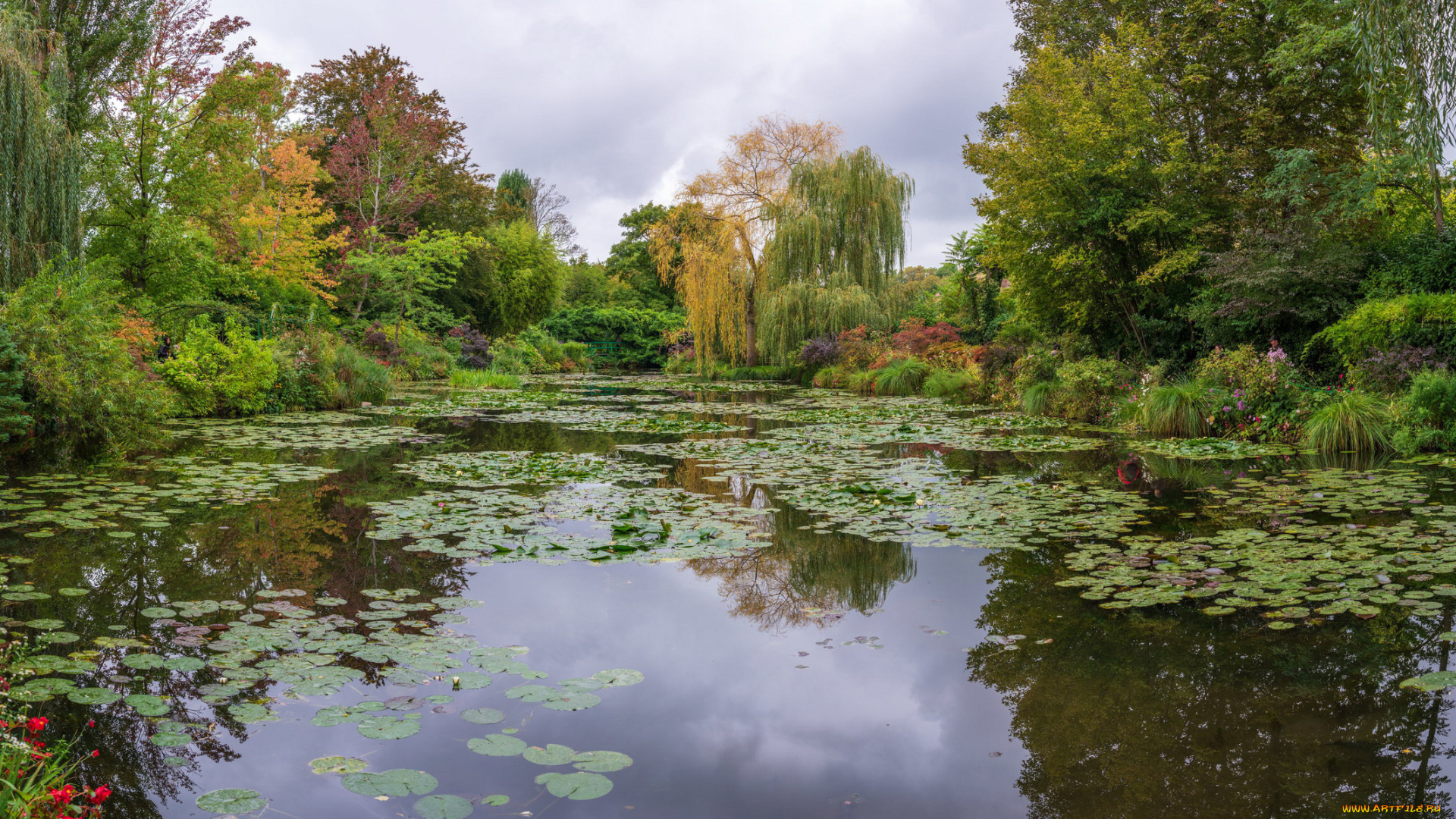 природа, реки, озера, пруд