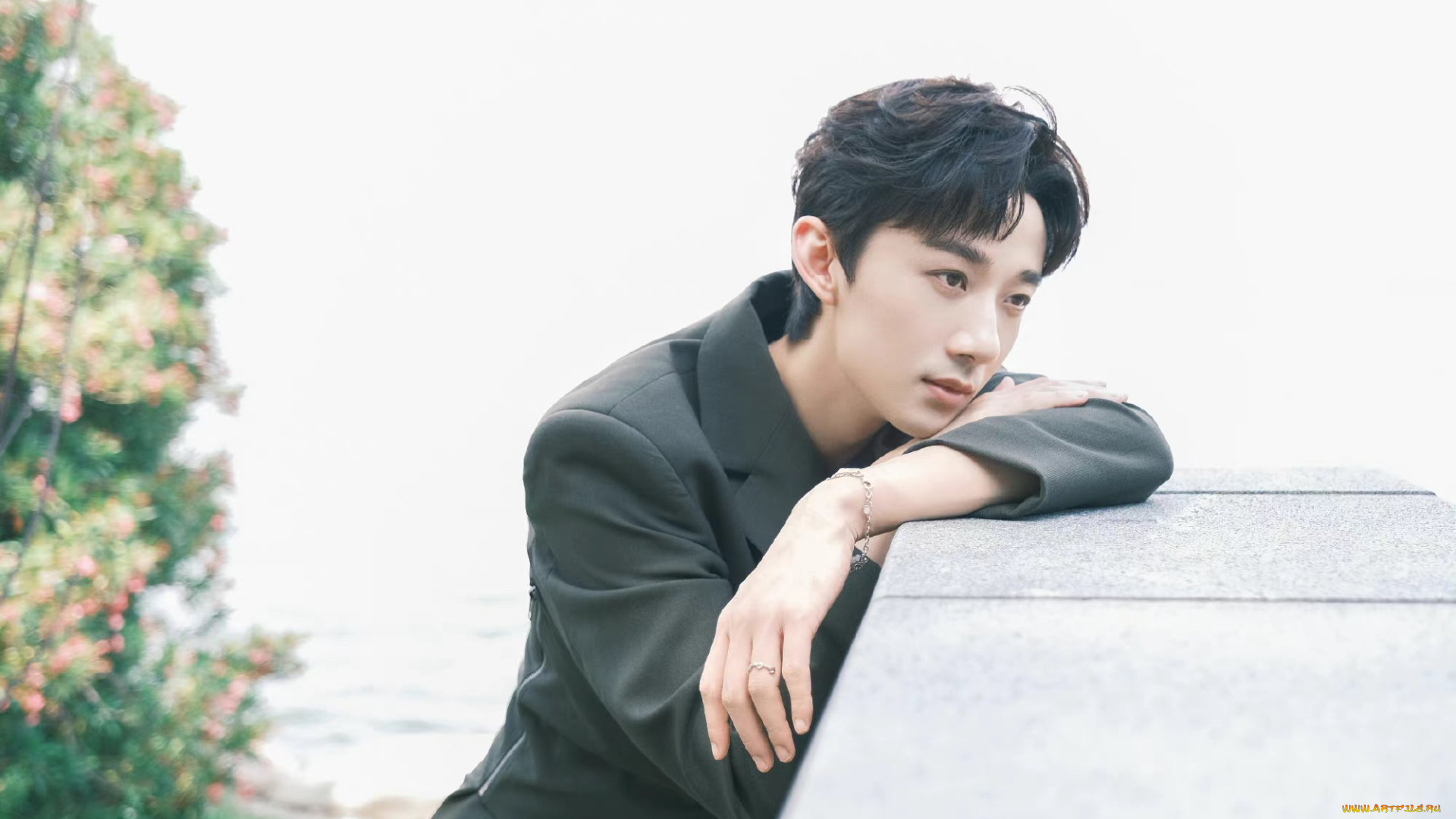 мужчины, li, bo, wen, li, bo, wen