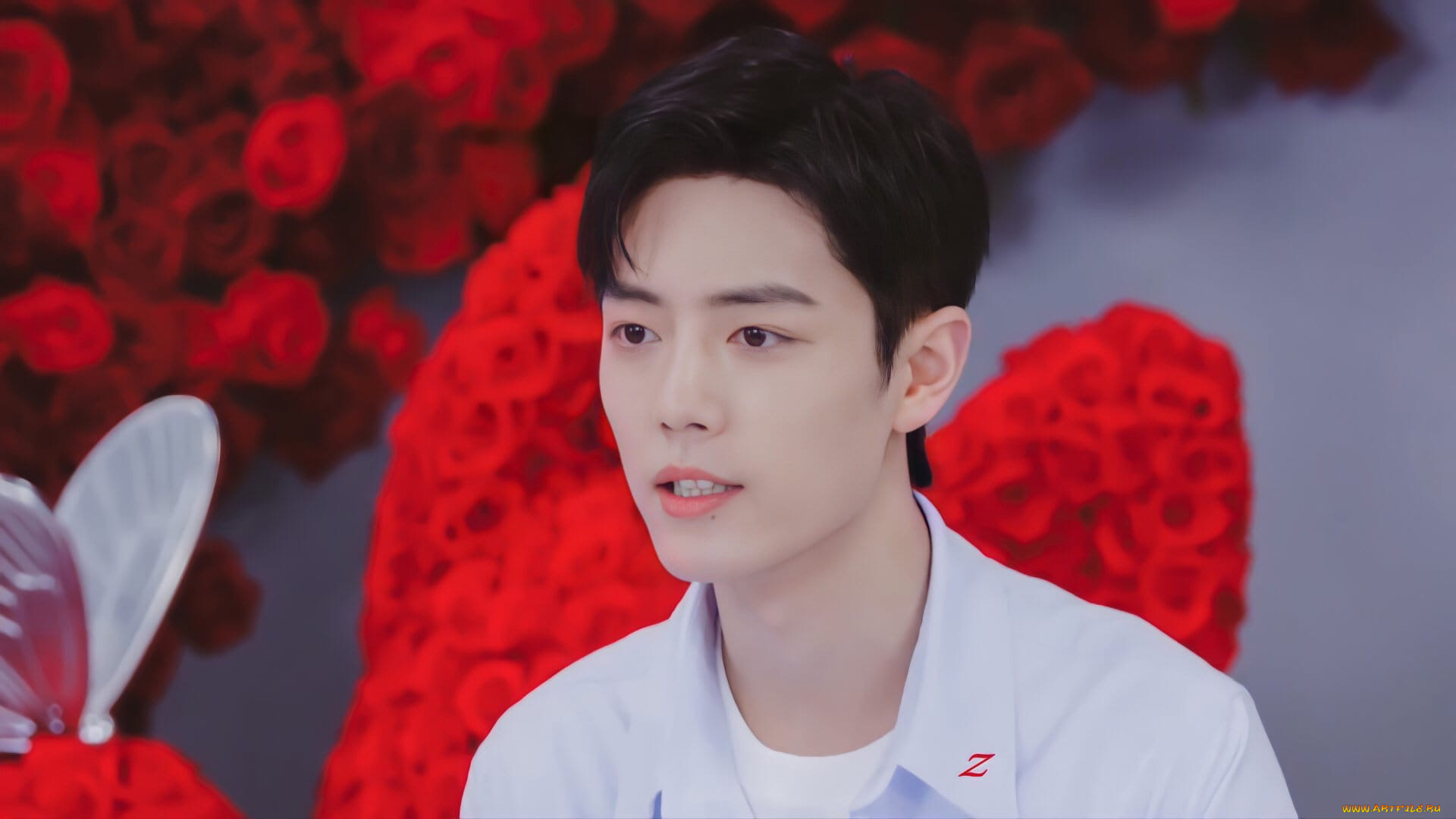 мужчины, xiao, zhan, актер, розы, бабочка, презентация